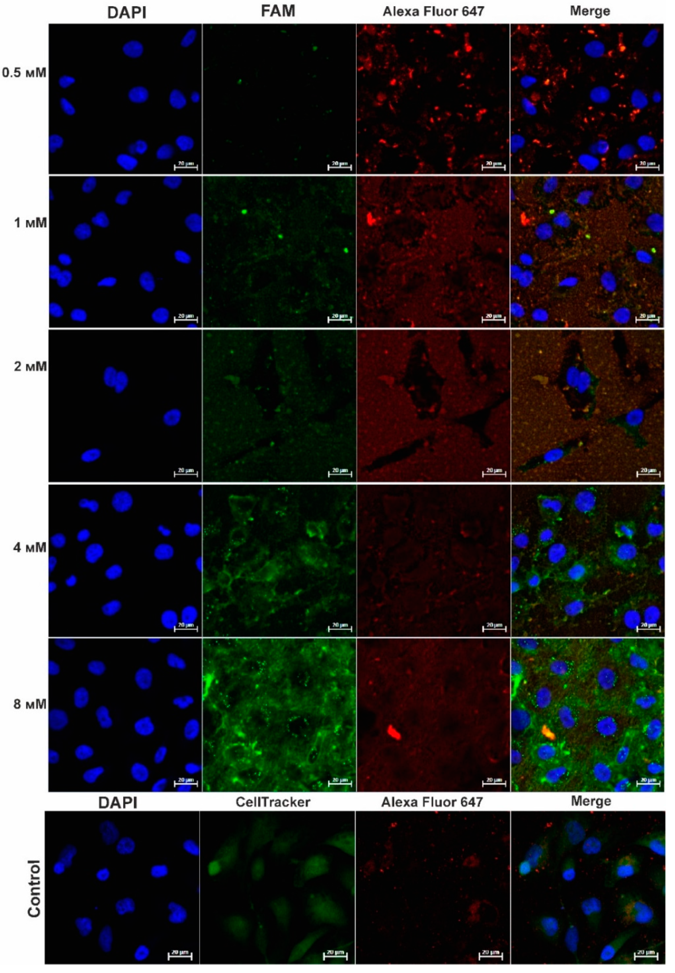 Molecules 26 06564 g006