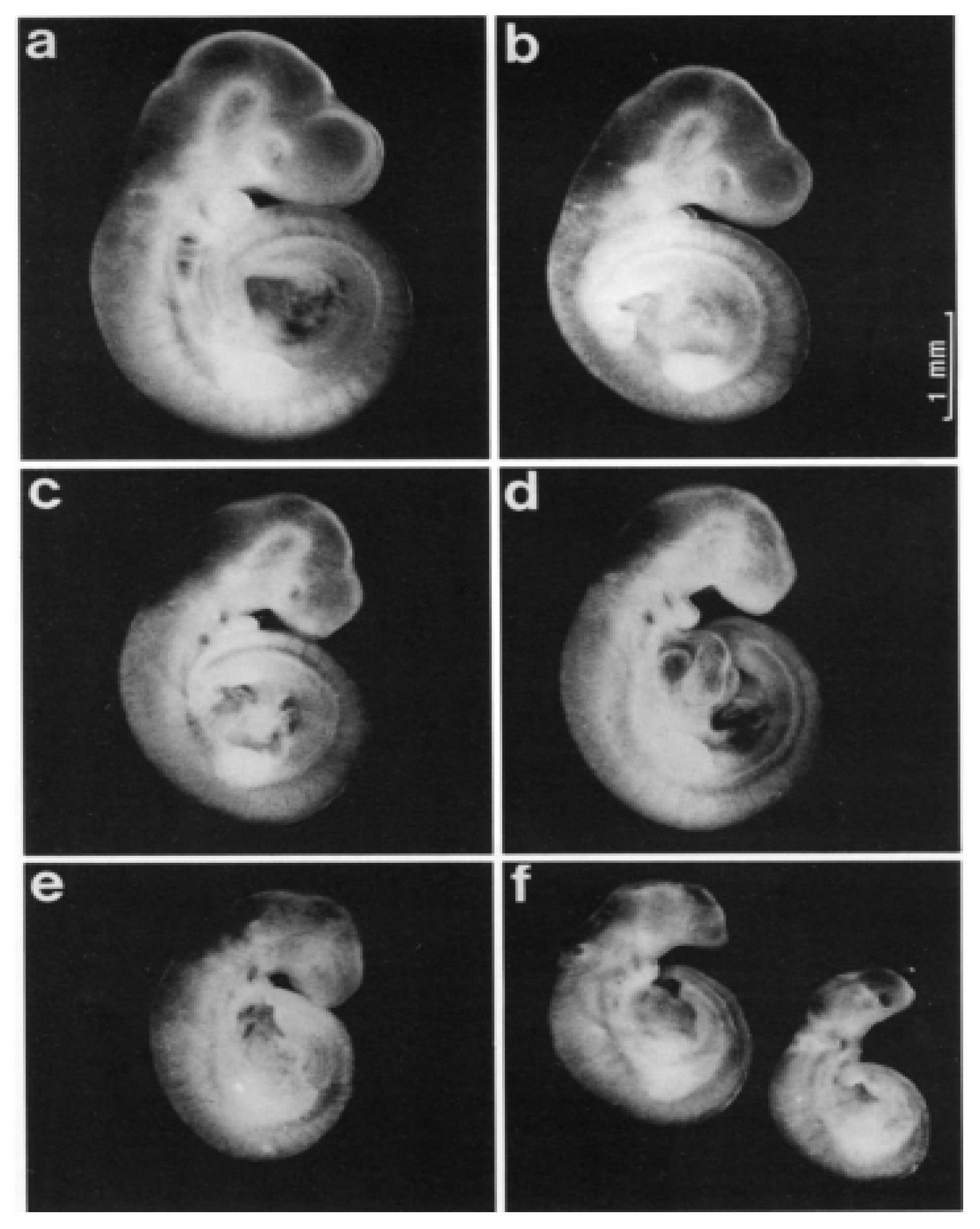 Molecules 26 06566 g002