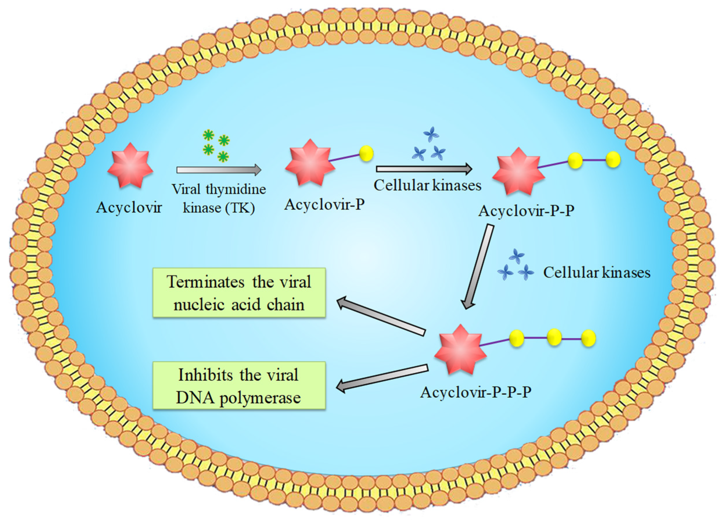 Molecules 26 06566 sch001