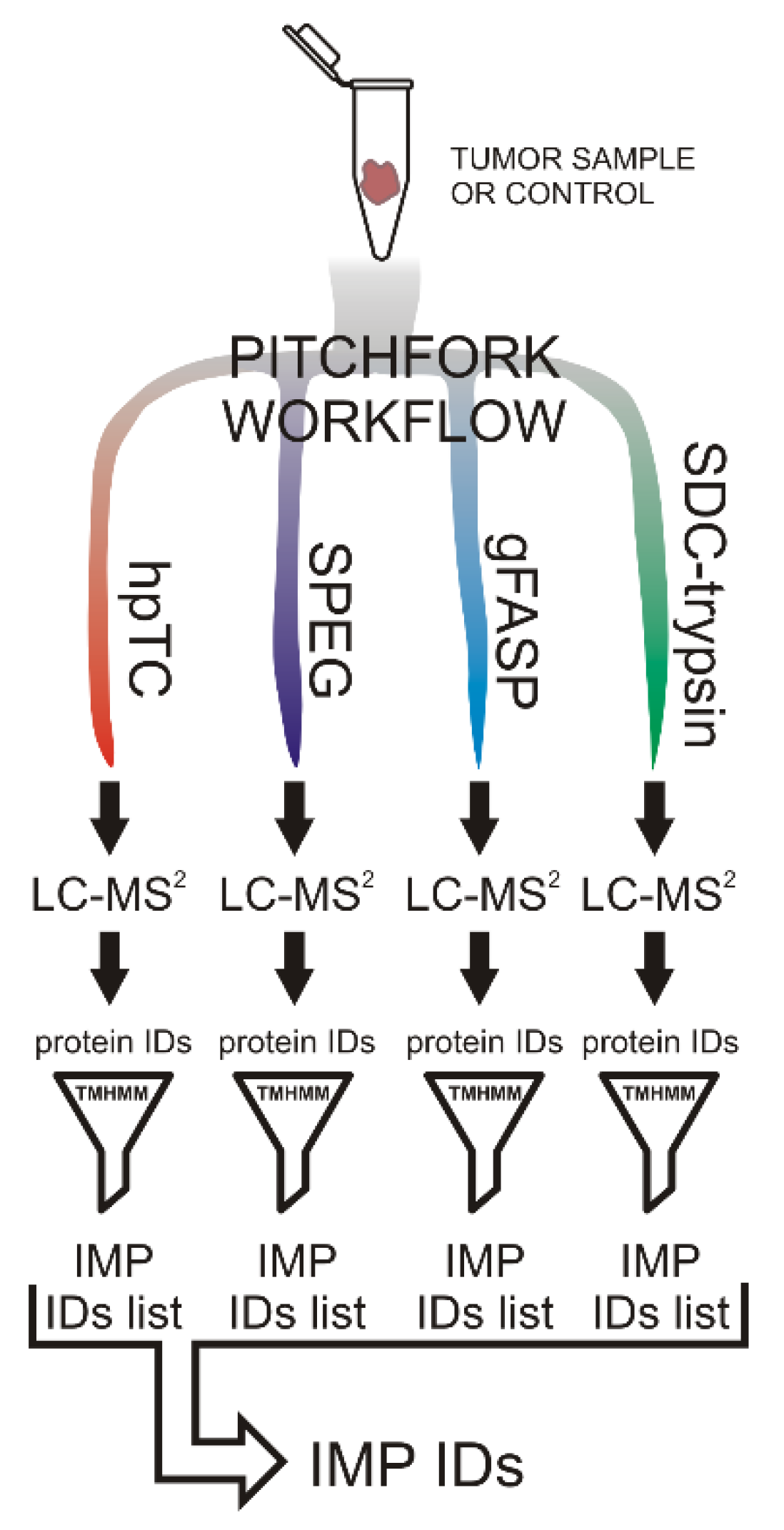 Molecules 26 06567 g001