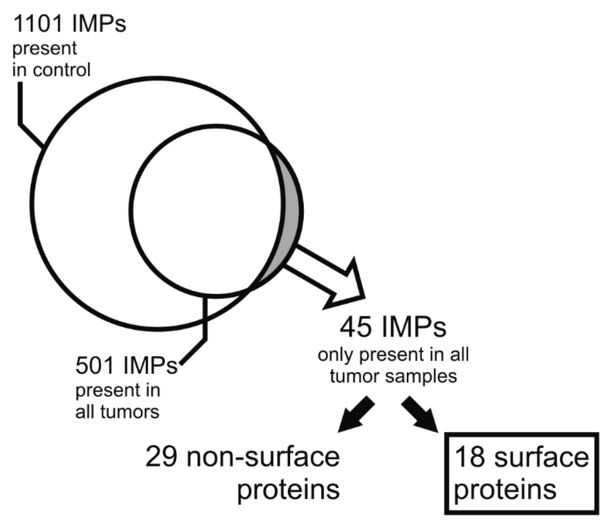 Molecules 26 06567 g002