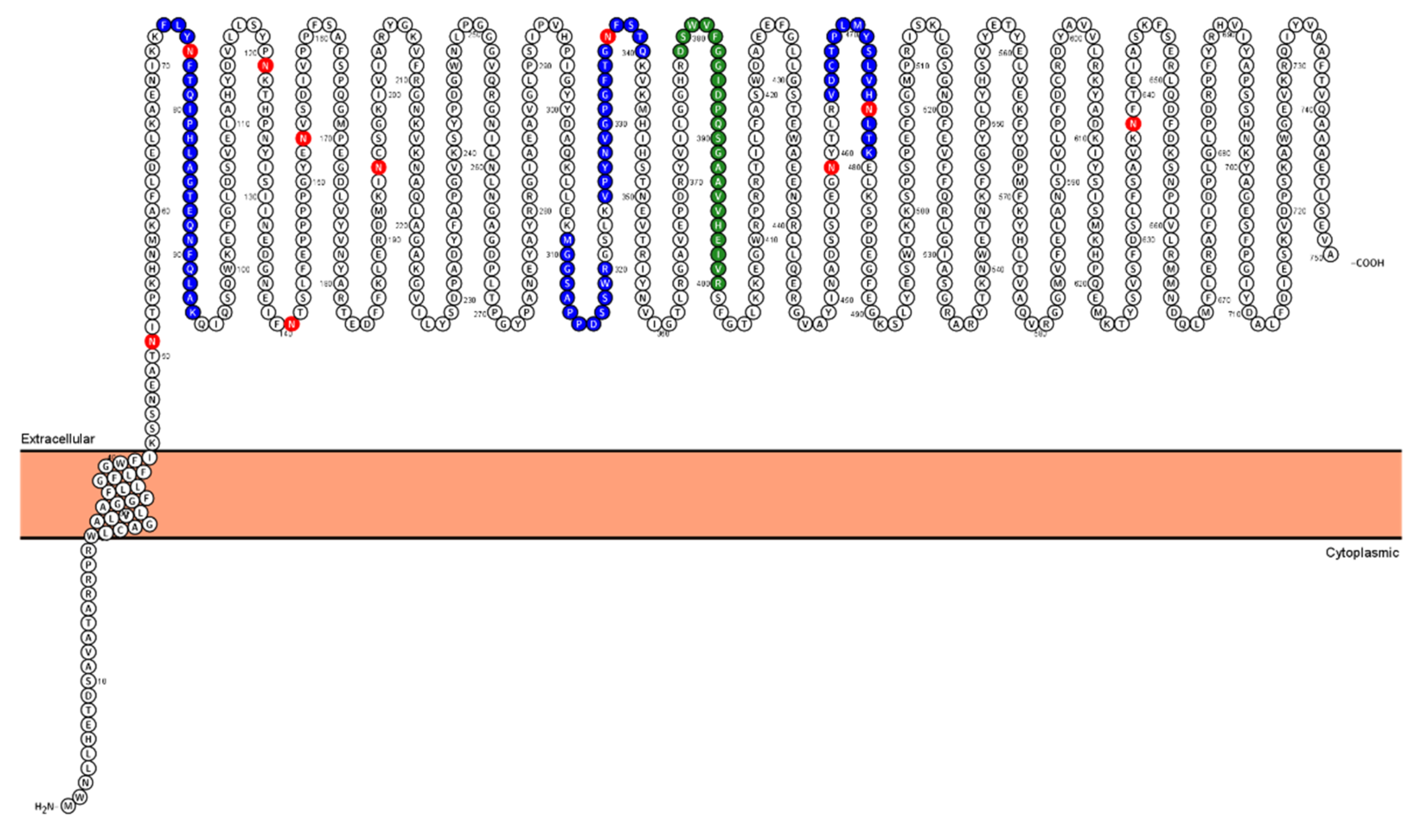 Molecules 26 06567 g003