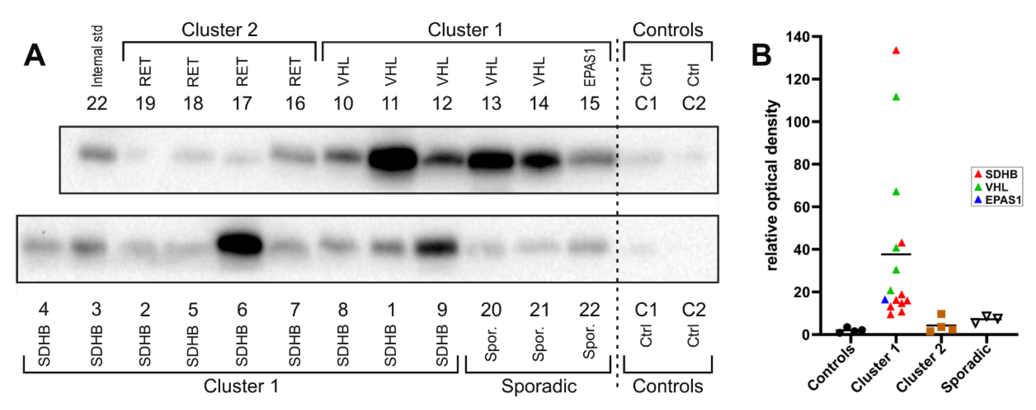 Molecules 26 06567 g004