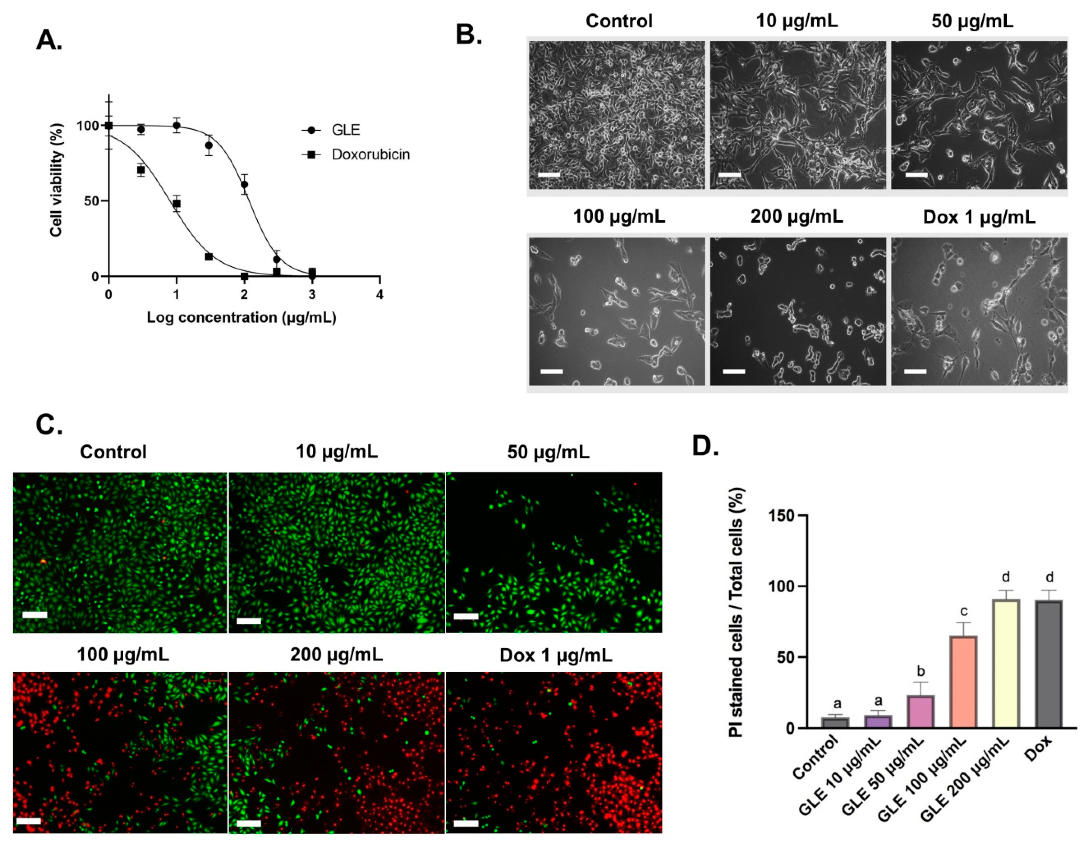 Molecules 26 06568 g003