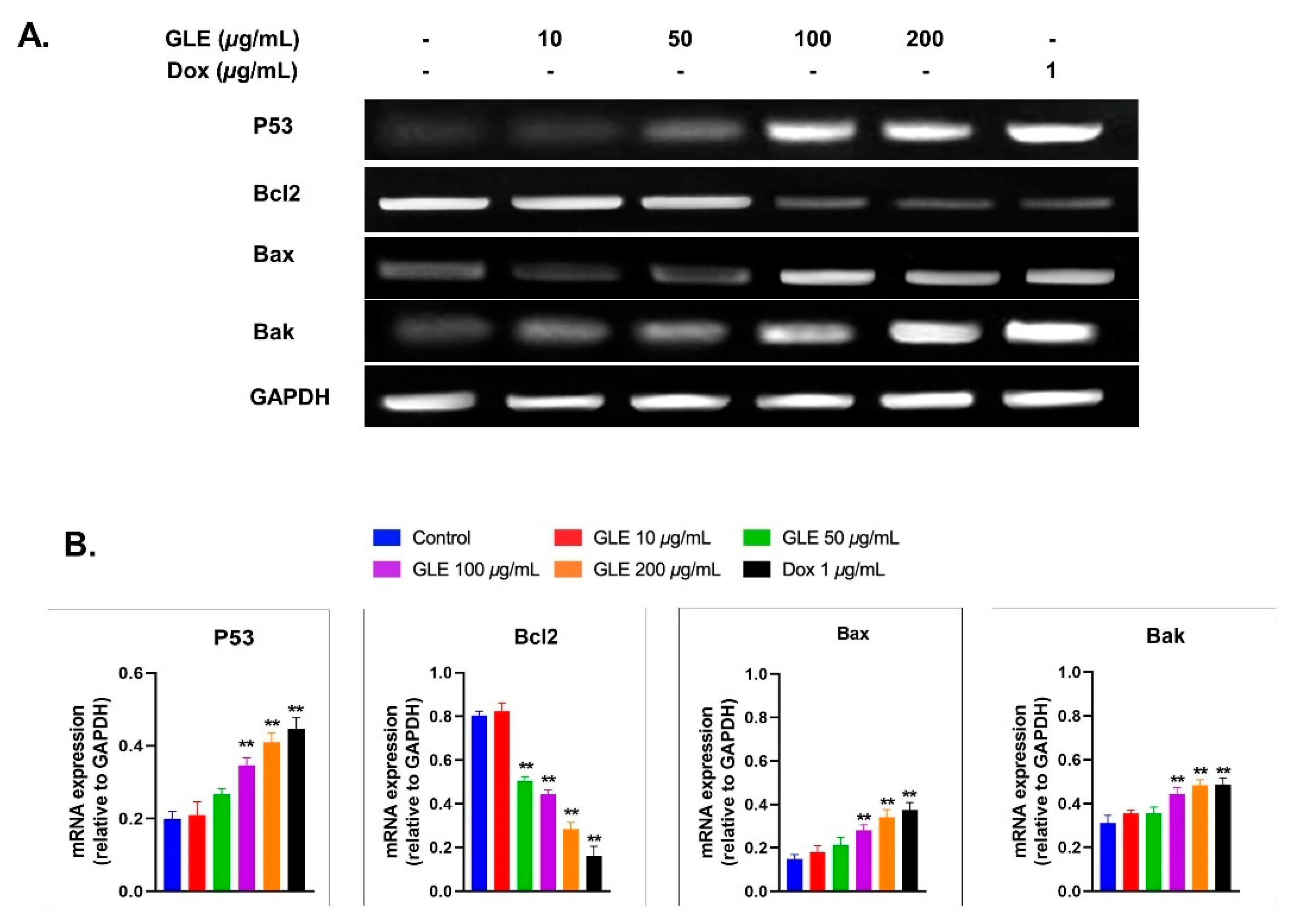 Molecules 26 06568 g005