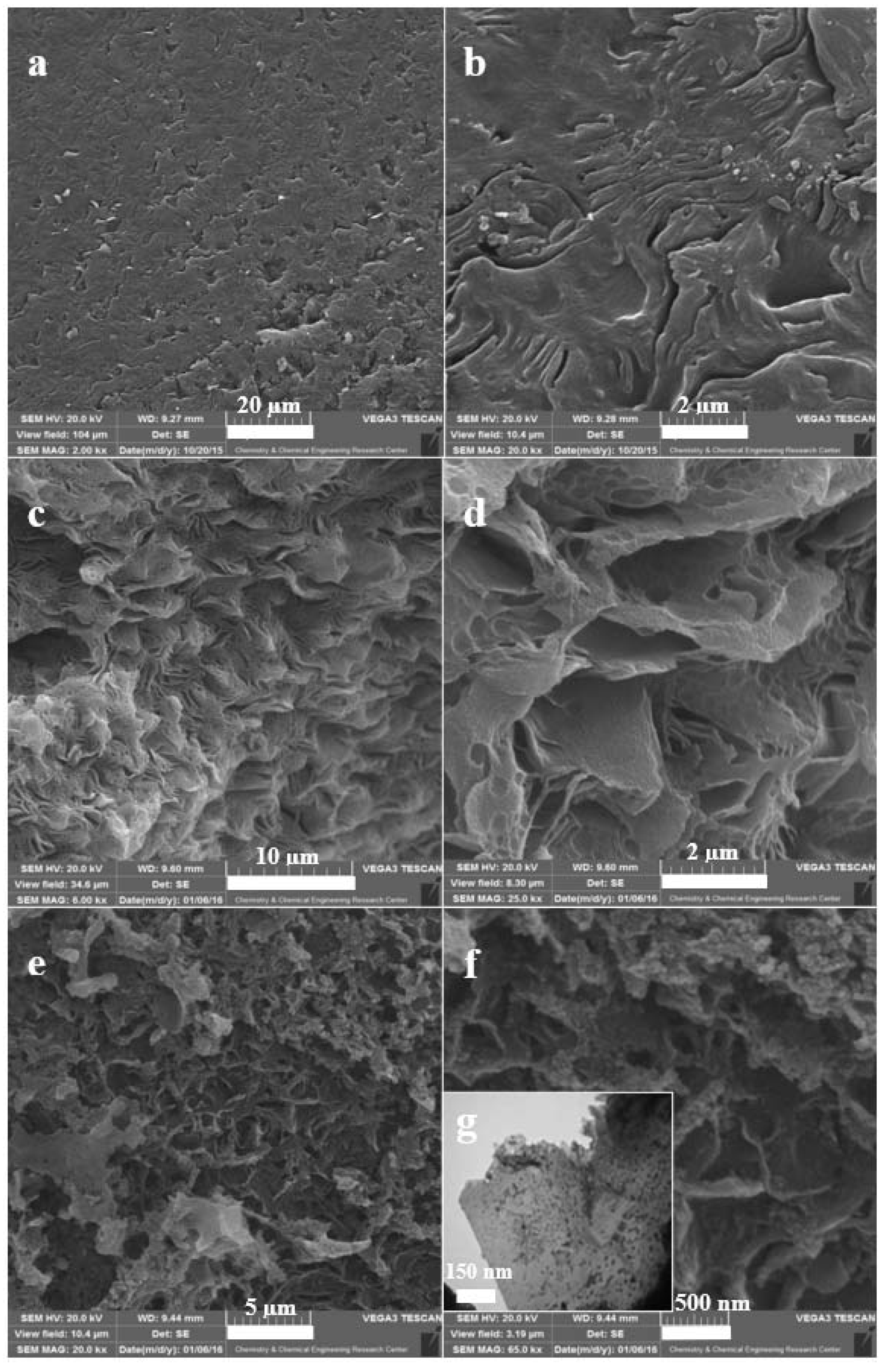 Molecules 26 06569 g002