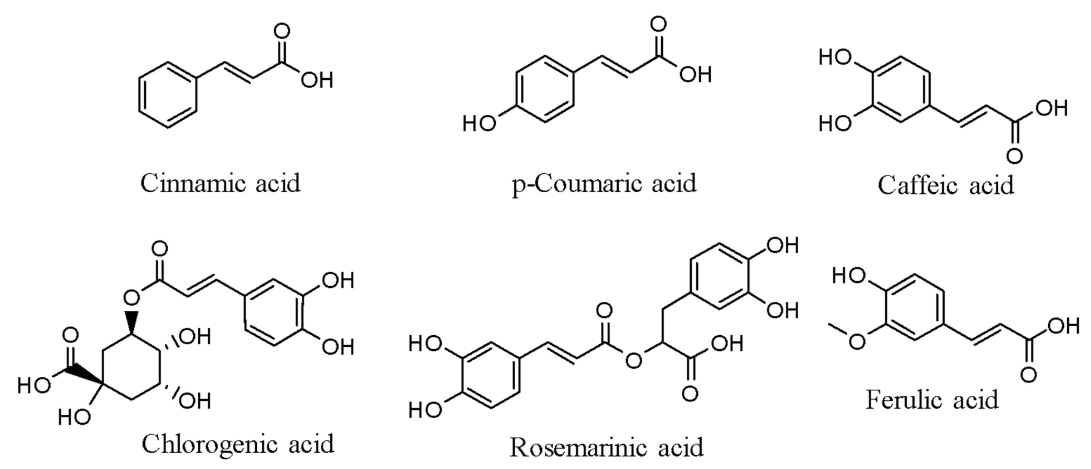 Molecules 26 06570 g001