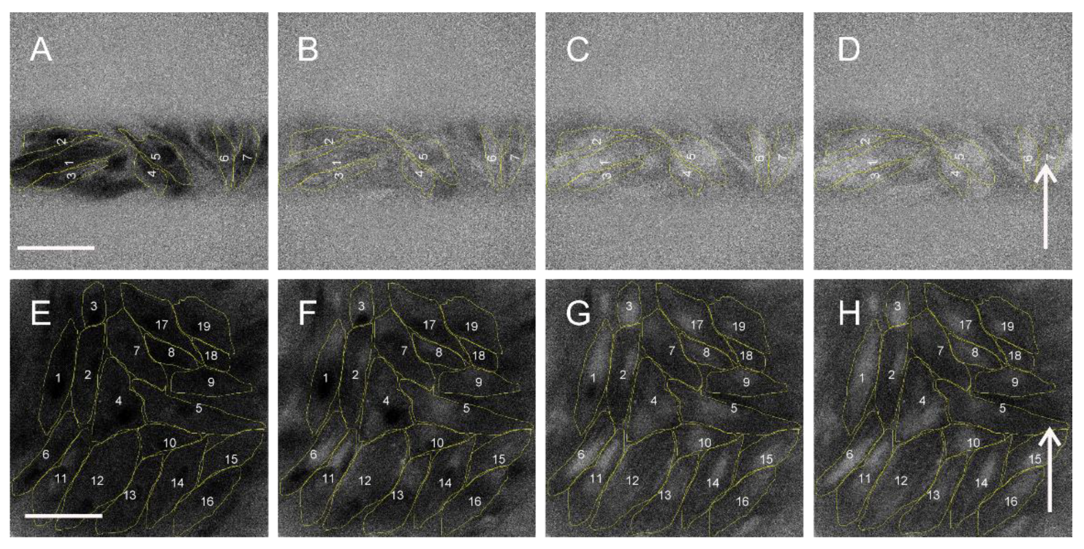 Molecules 26 06571 g002