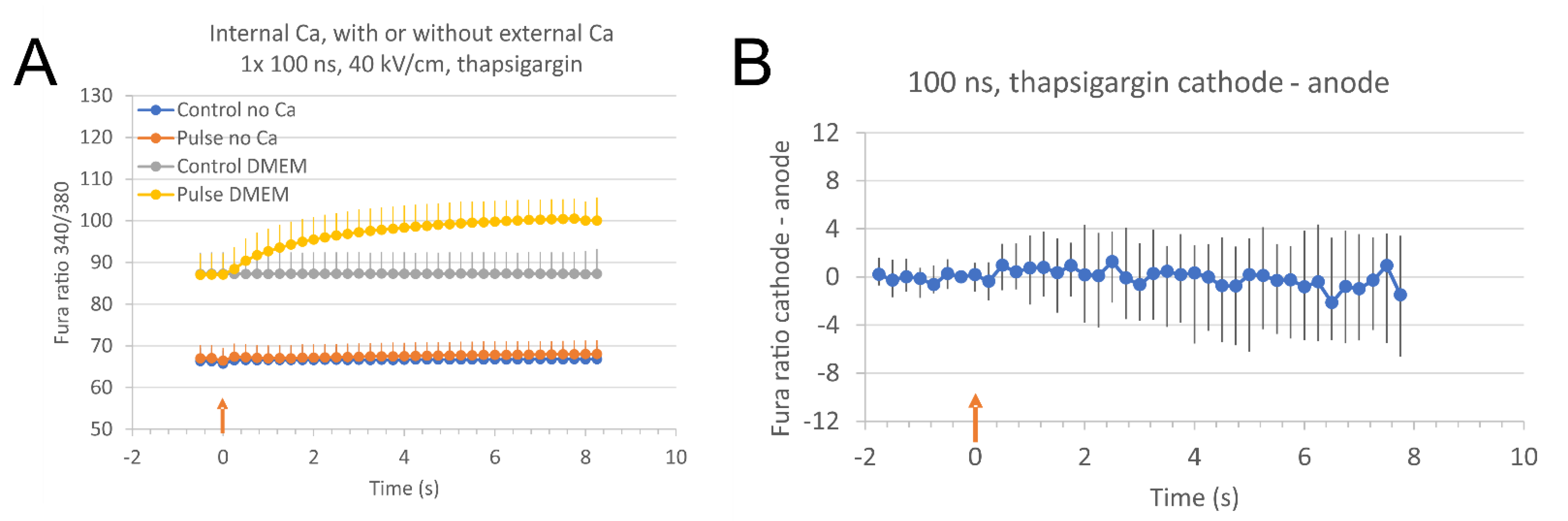 Molecules 26 06571 g006