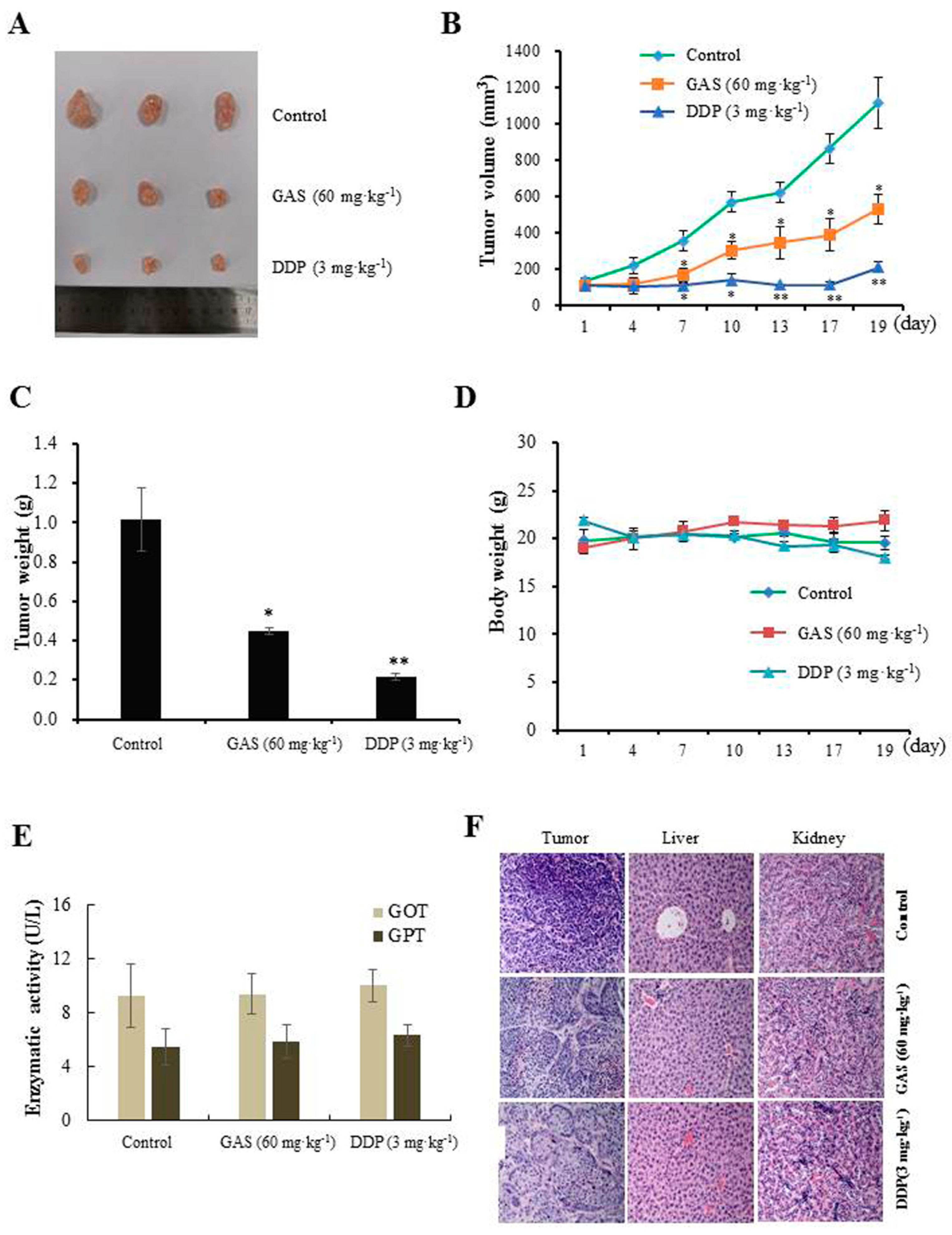 Molecules 26 06575 g002 Molecules 26 06575 g002