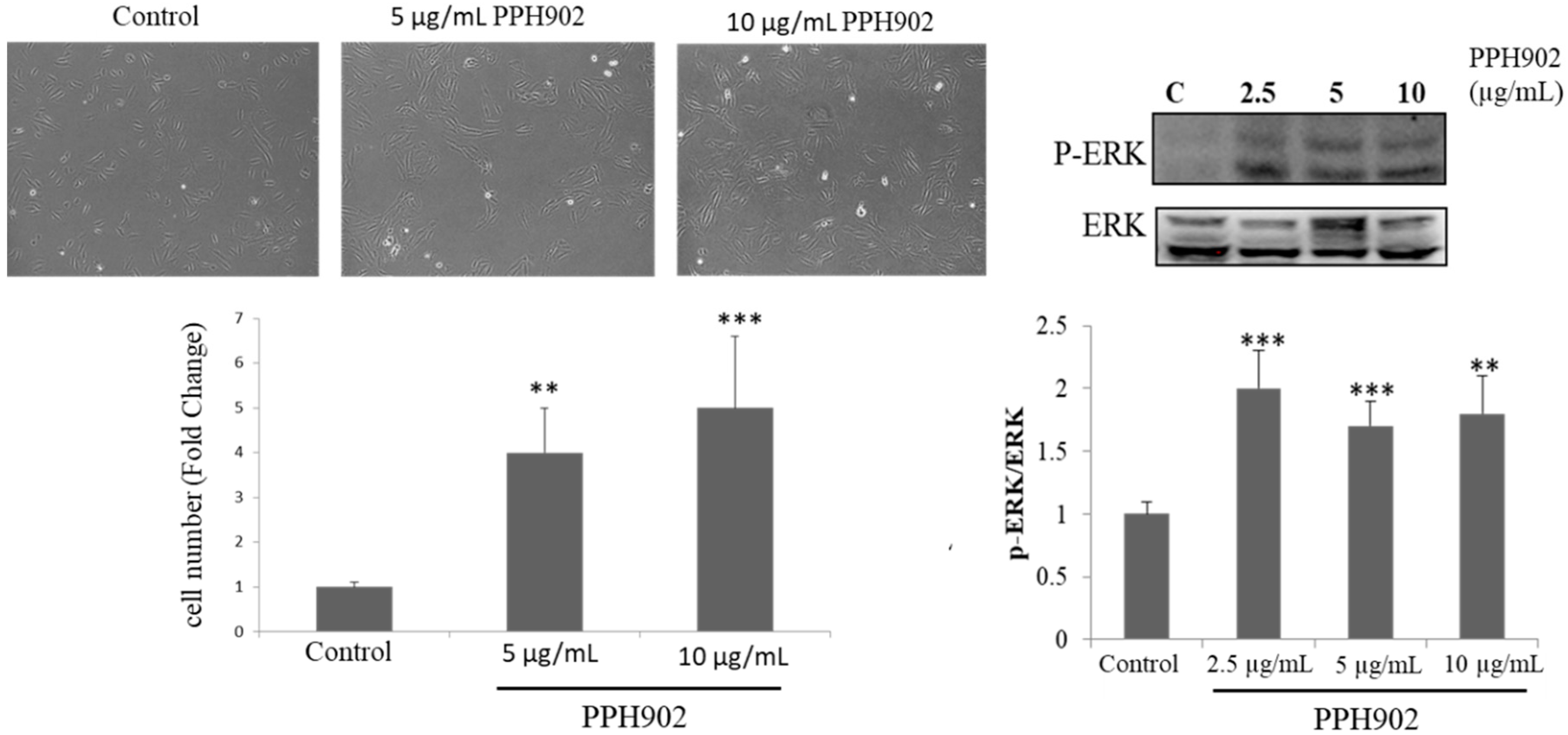 Molecules 26 06577 g003