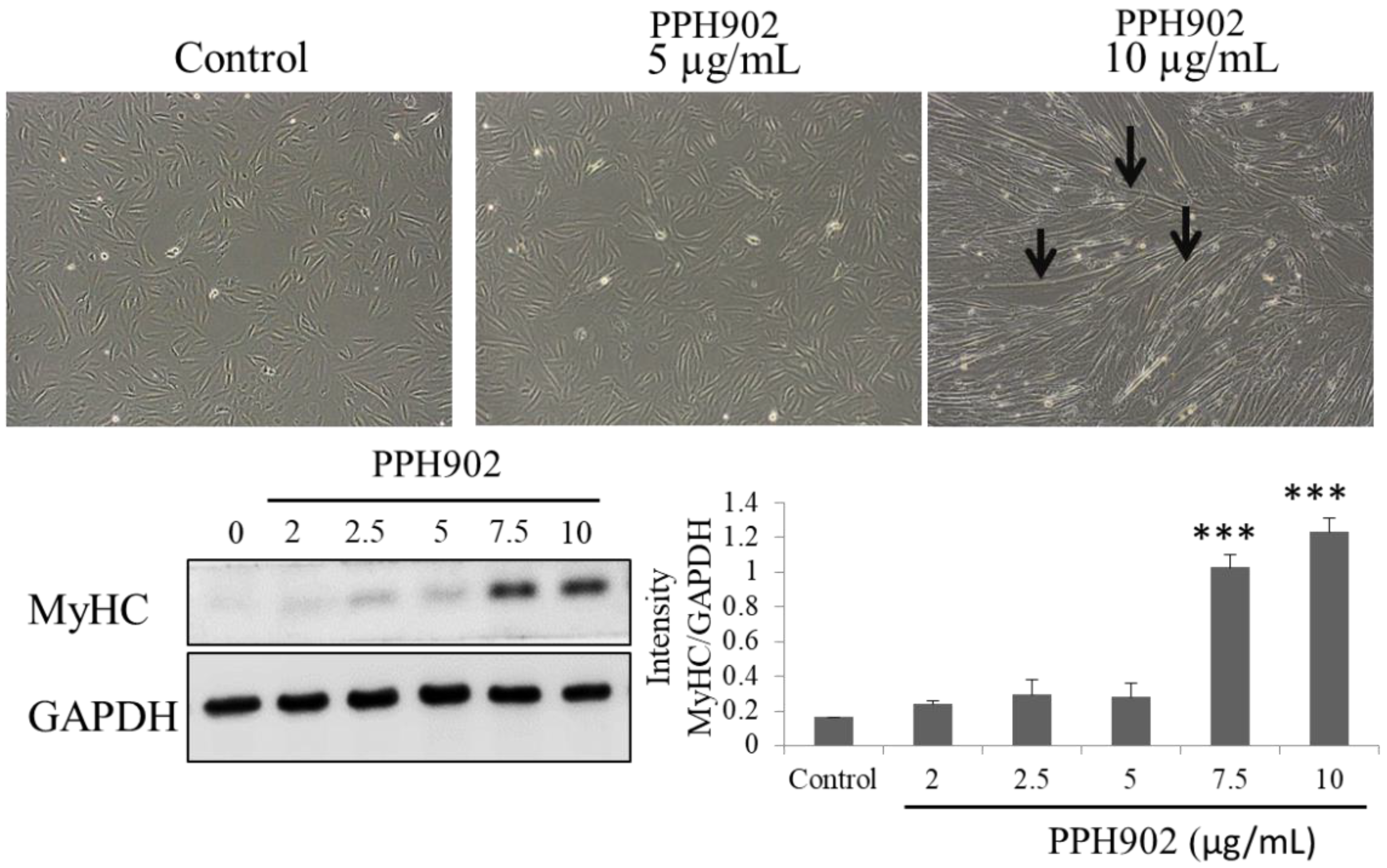 Molecules 26 06577 g004