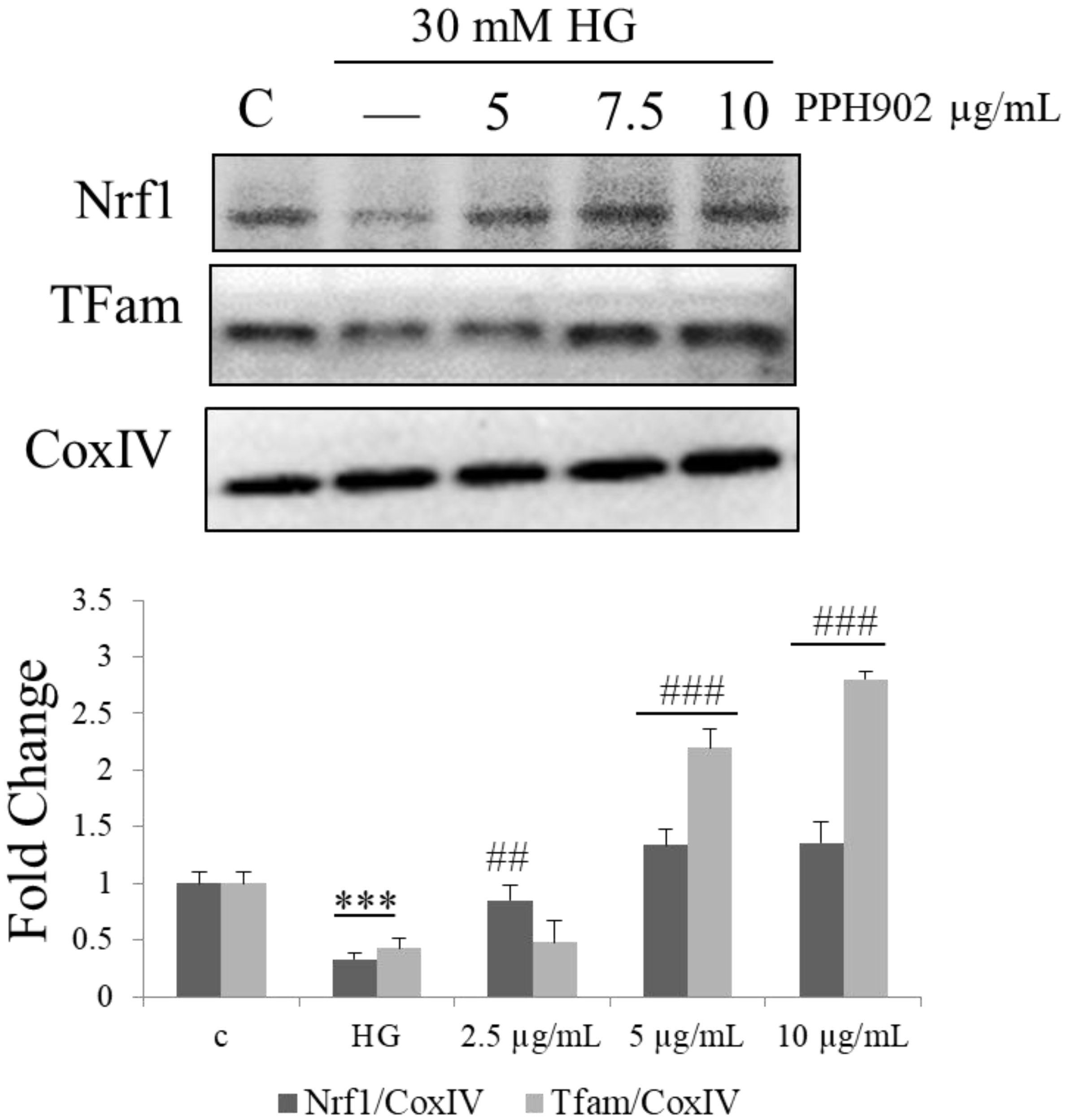 Molecules 26 06577 g009