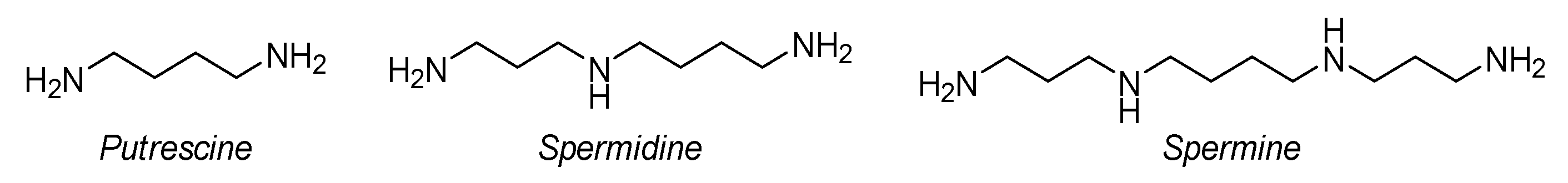 Molecules 26 06579 g001