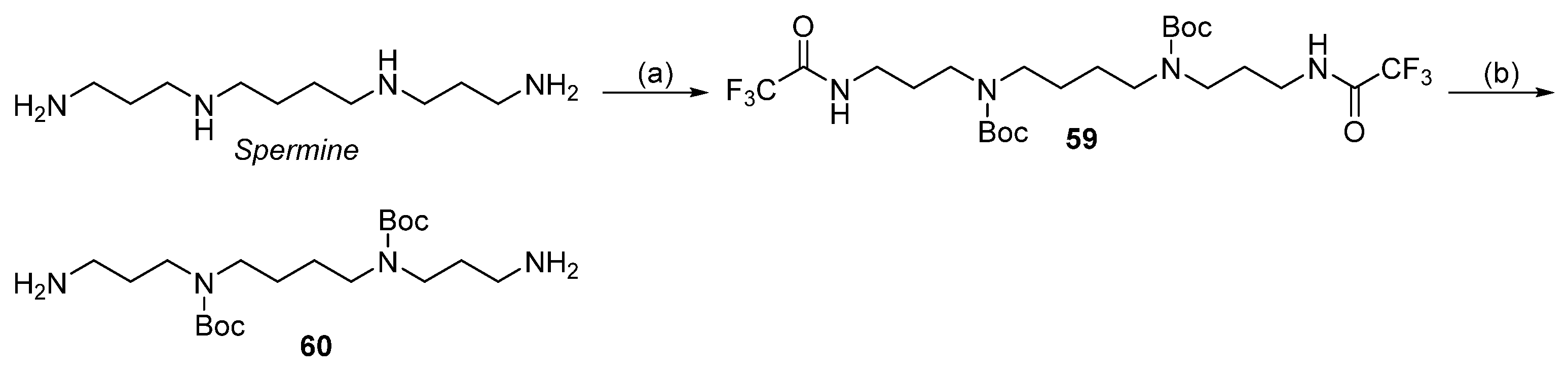 Molecules 26 06579 sch016