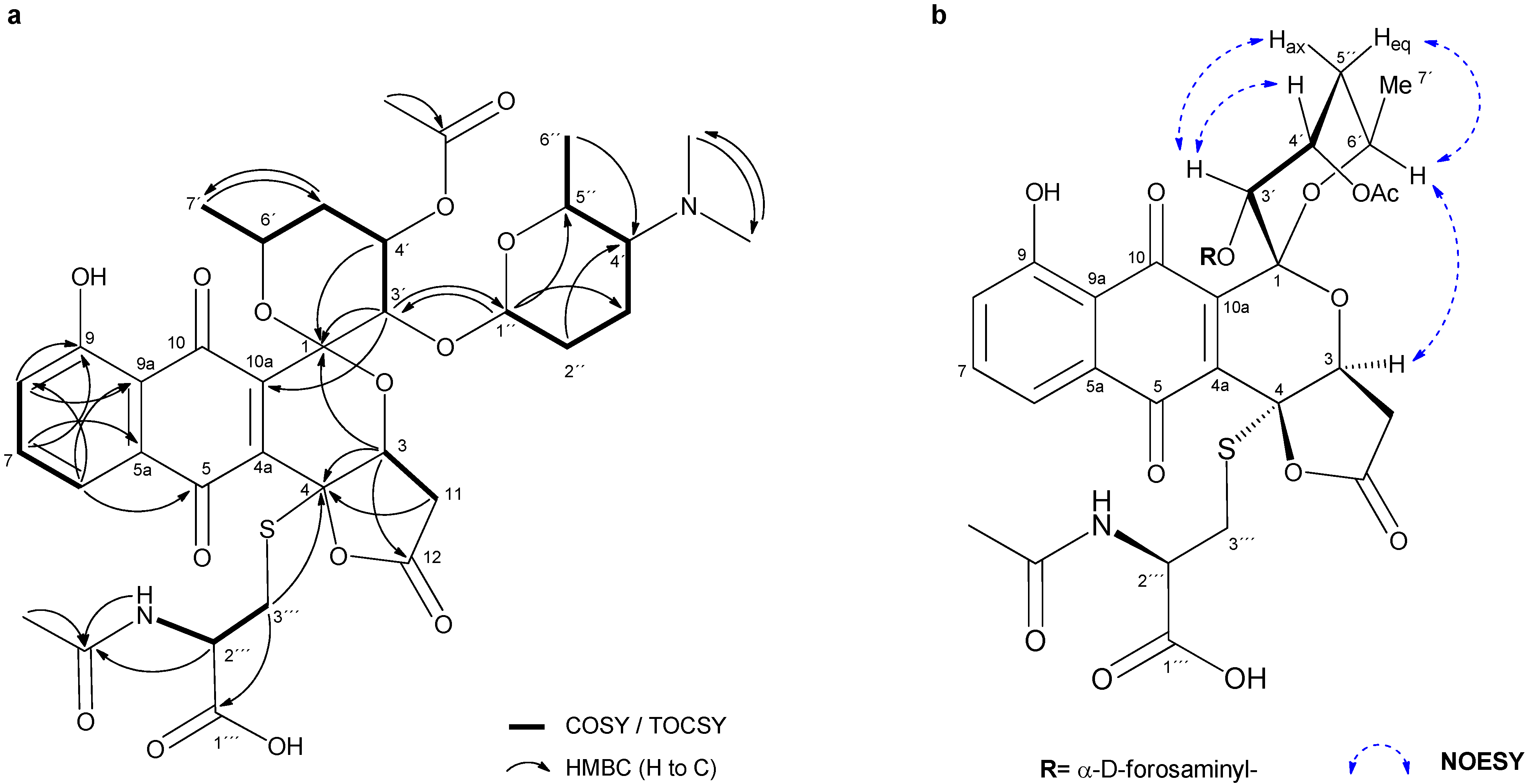 Molecules 26 06580 g002
