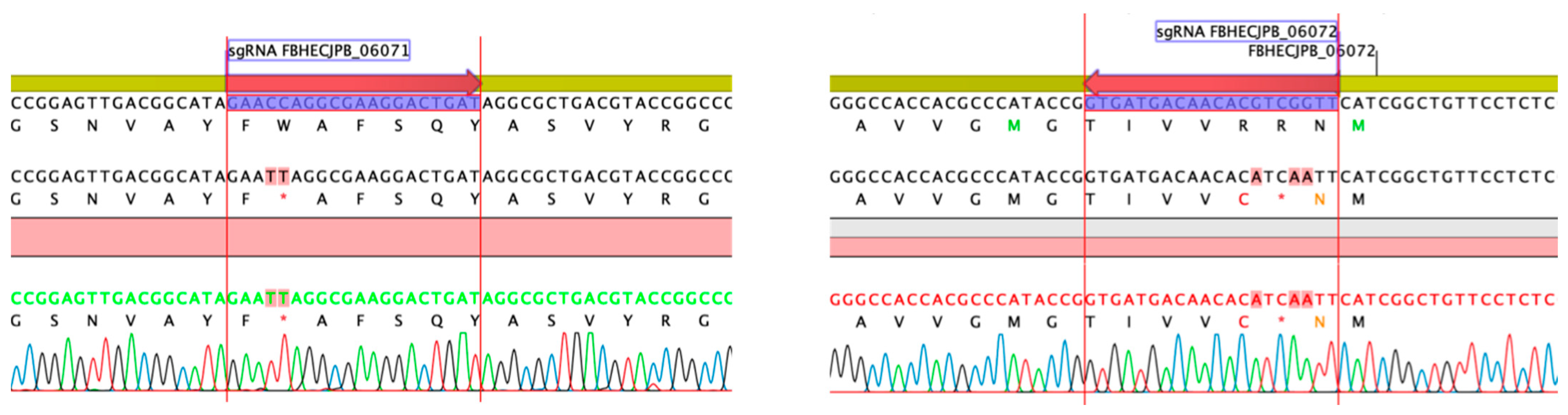 Molecules 26 06580 g007