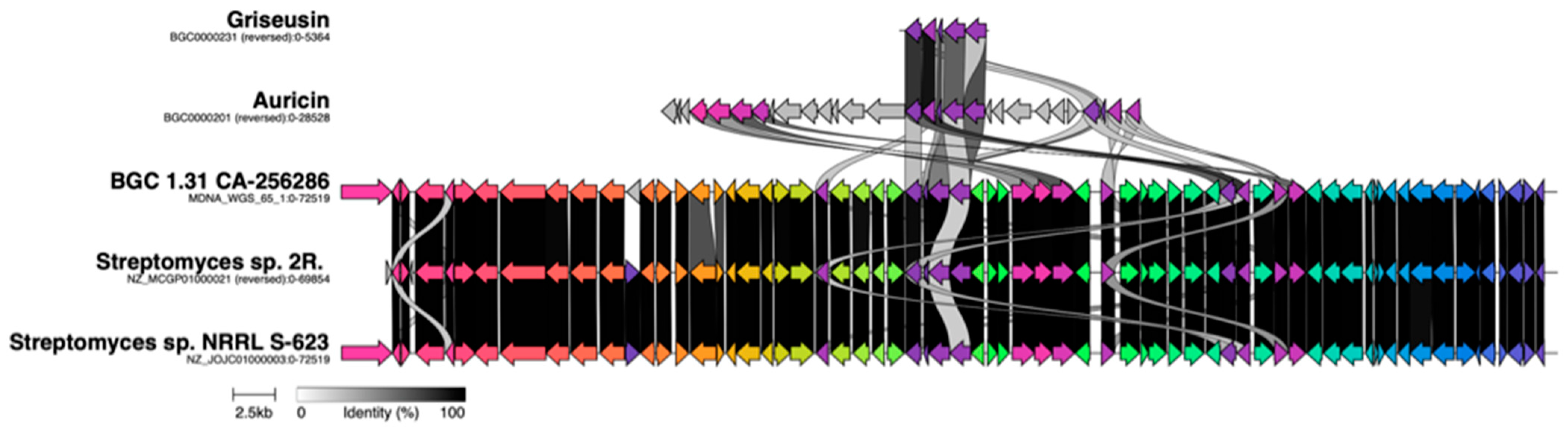 Molecules 26 06580 g010