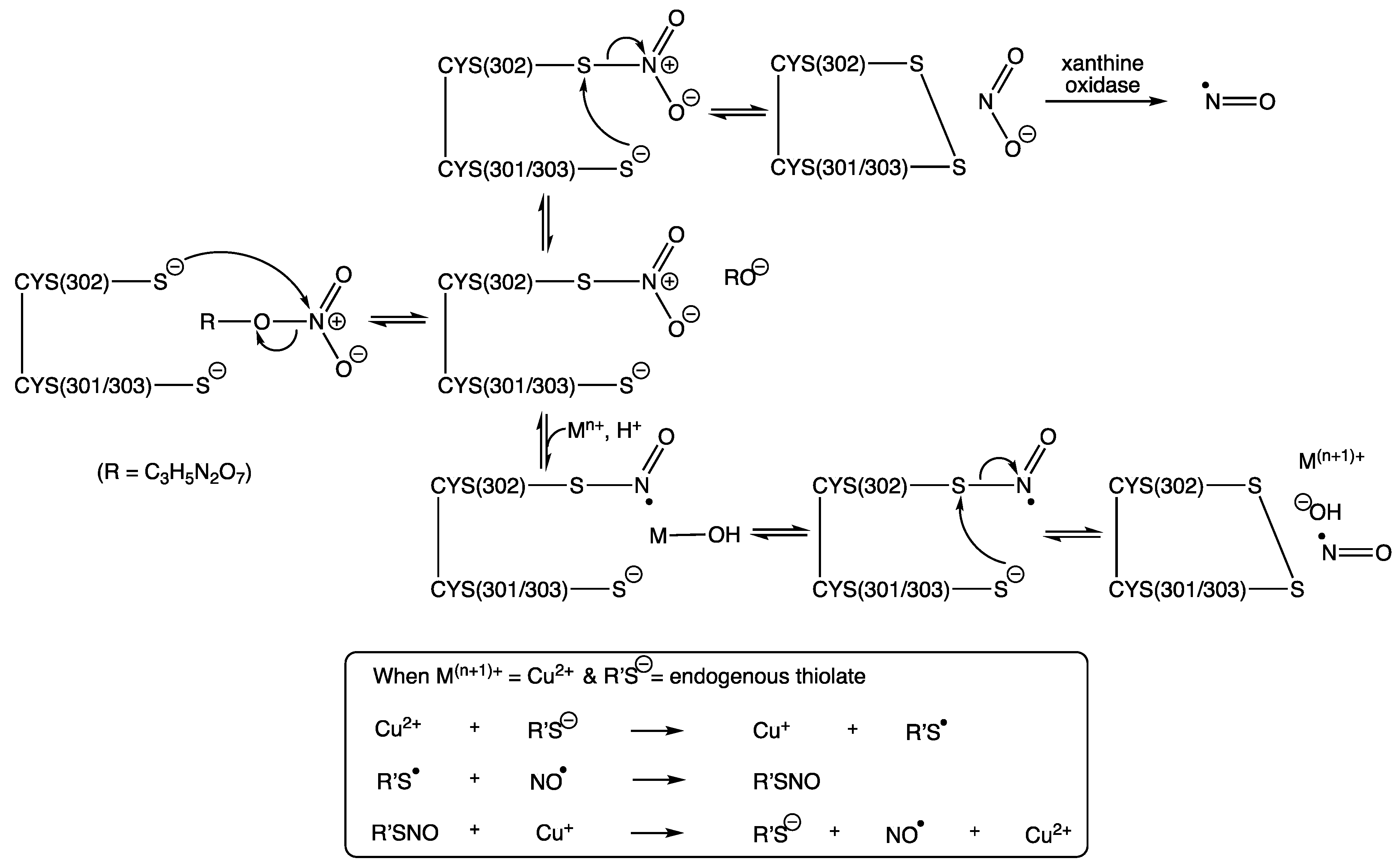 Molecules 26 06581 sch001