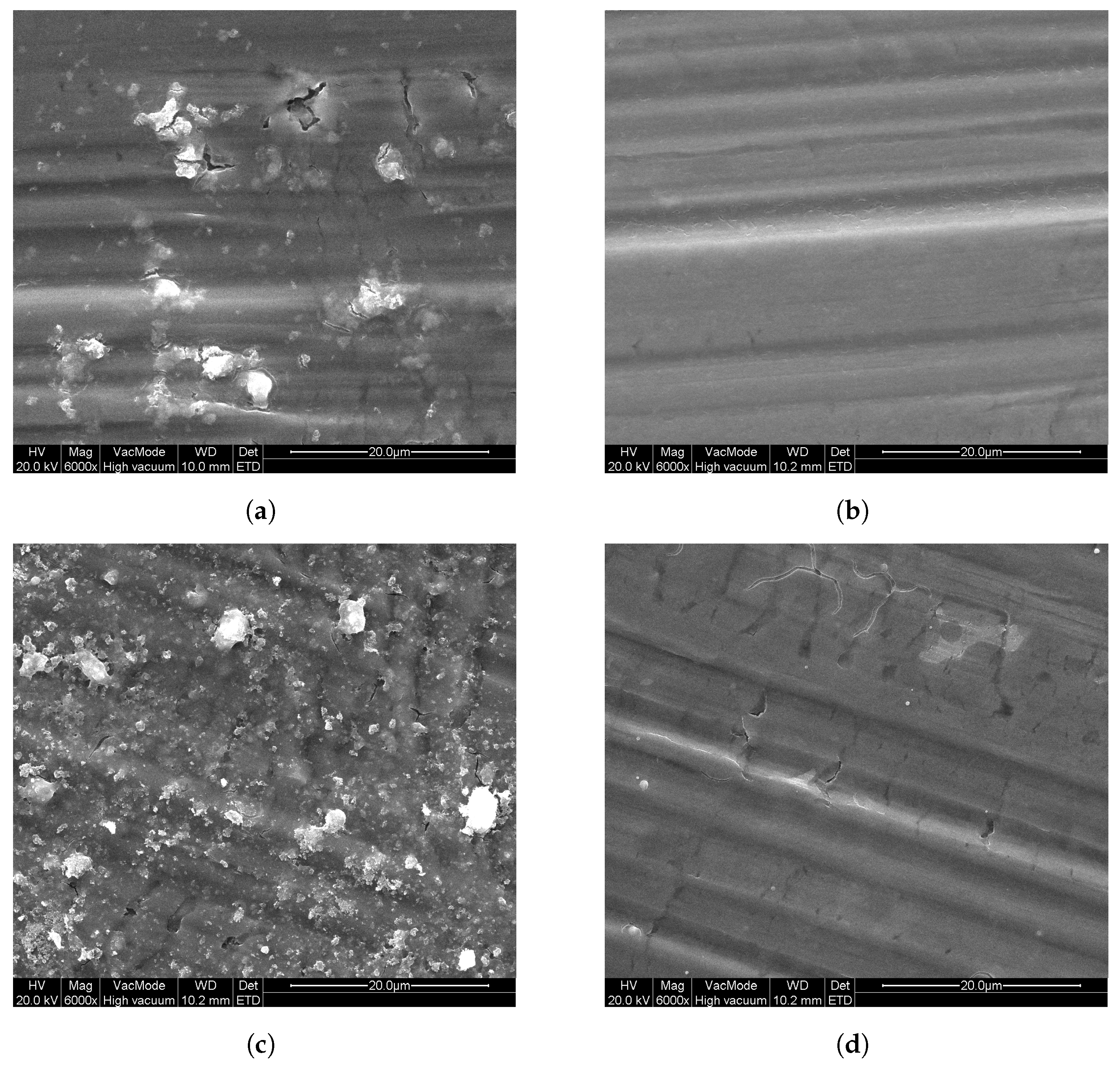Molecules 26 06584 g005 Molecules 26 06584 g005