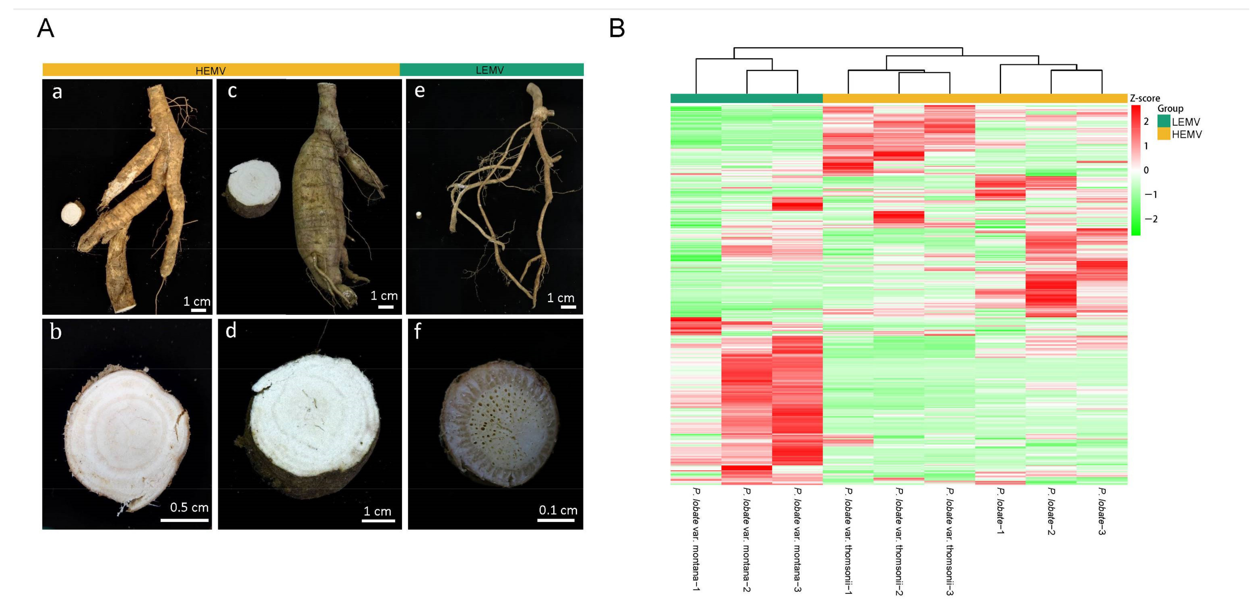 Molecules 26 06587 g001