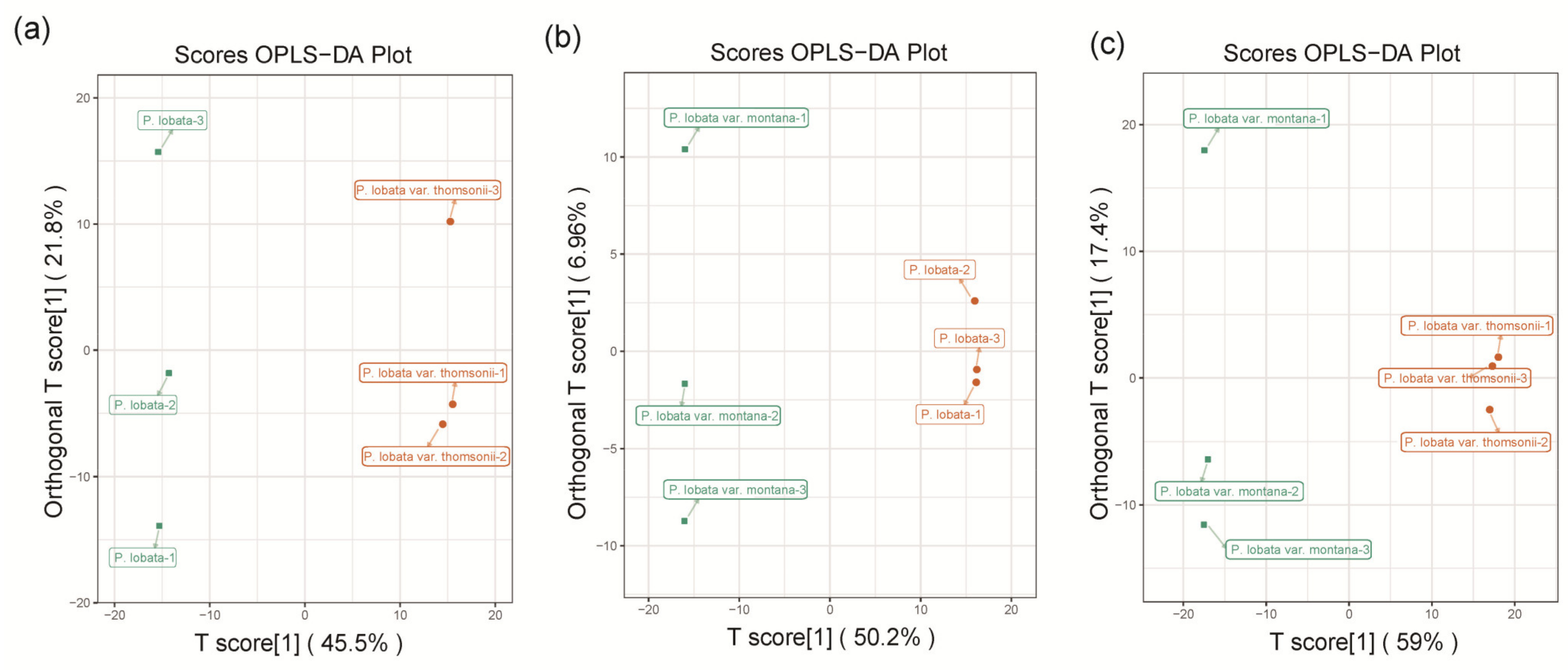Molecules 26 06587 g003