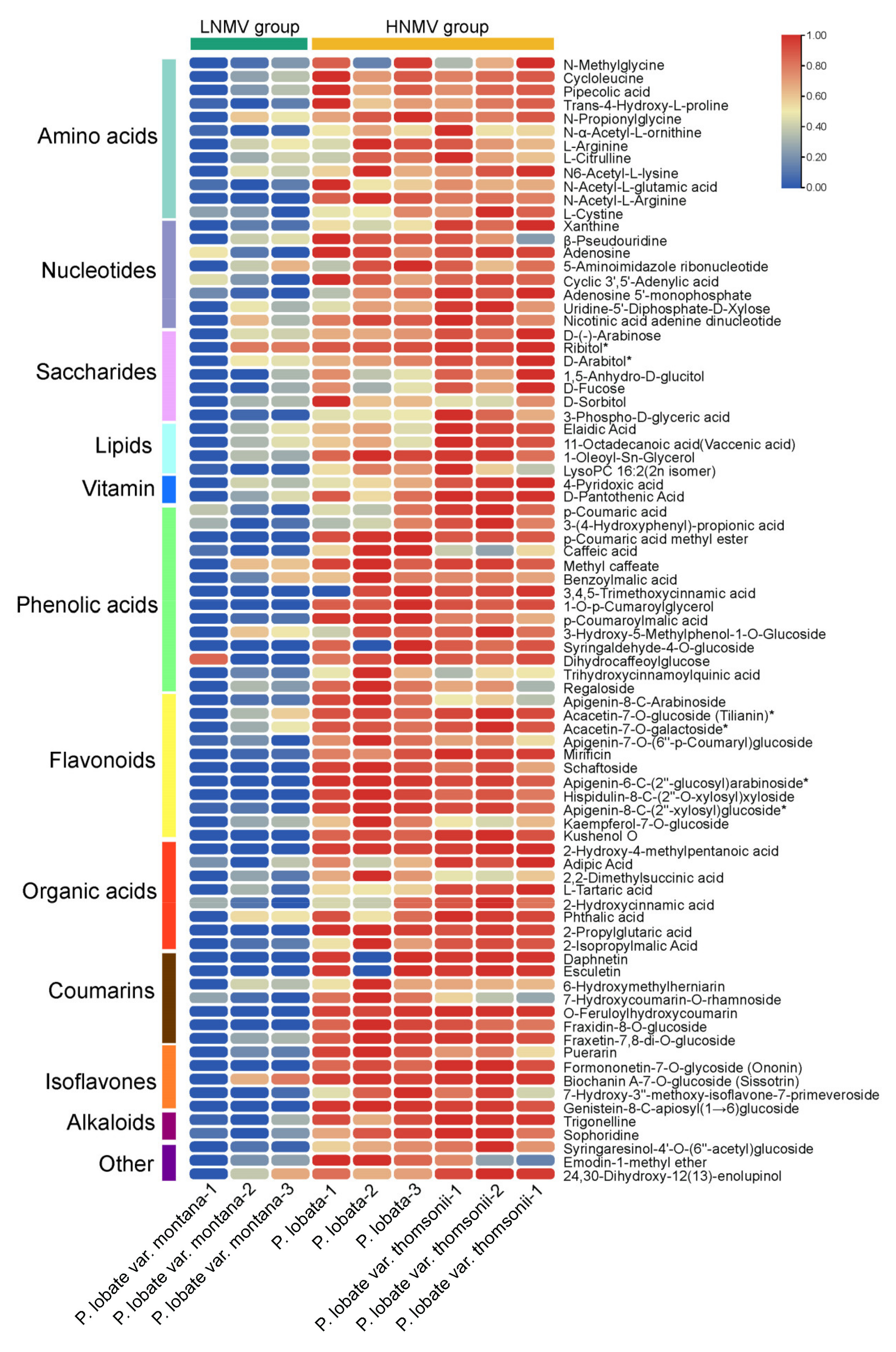 Molecules 26 06587 g004