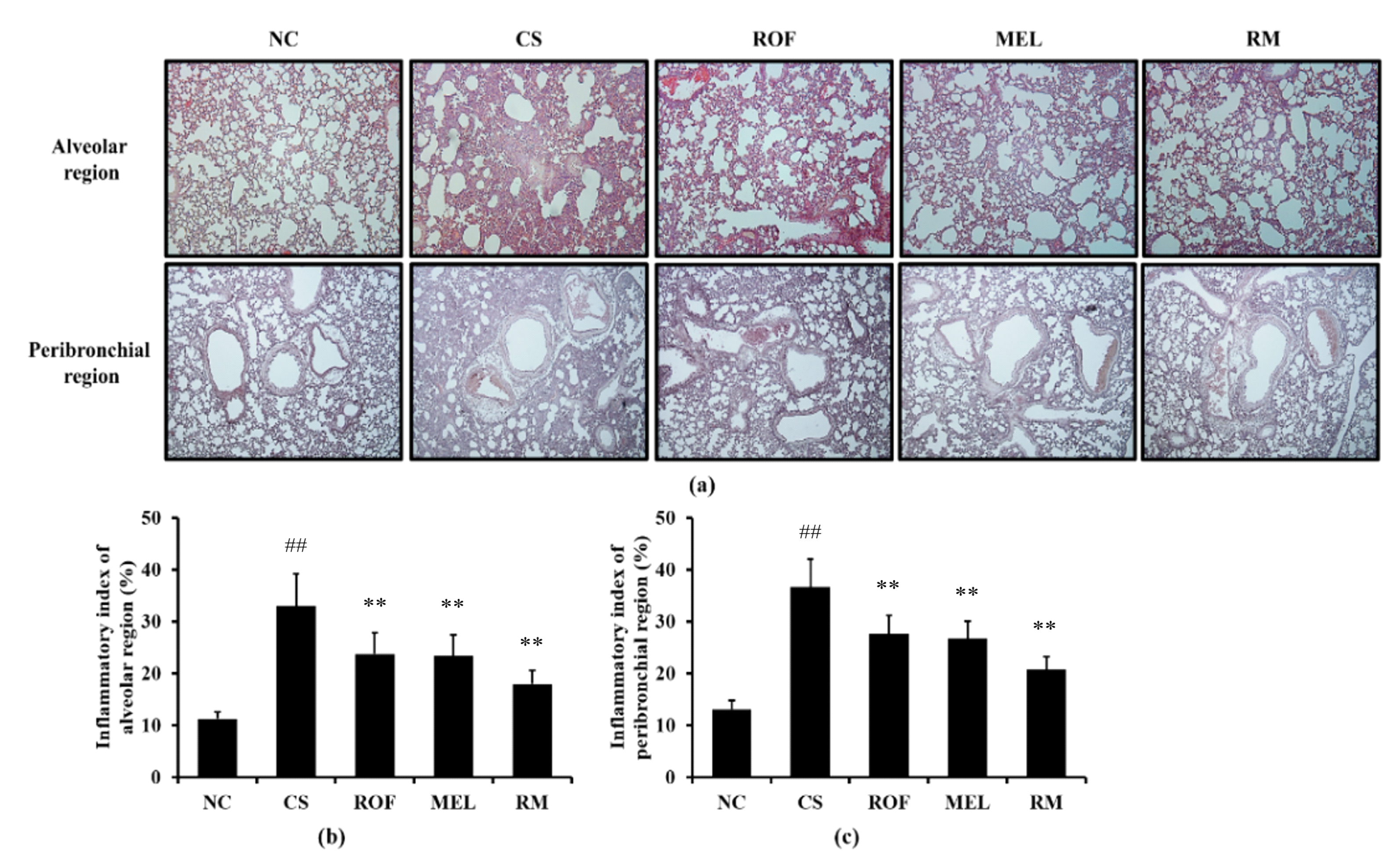 Molecules 26 06588 g002