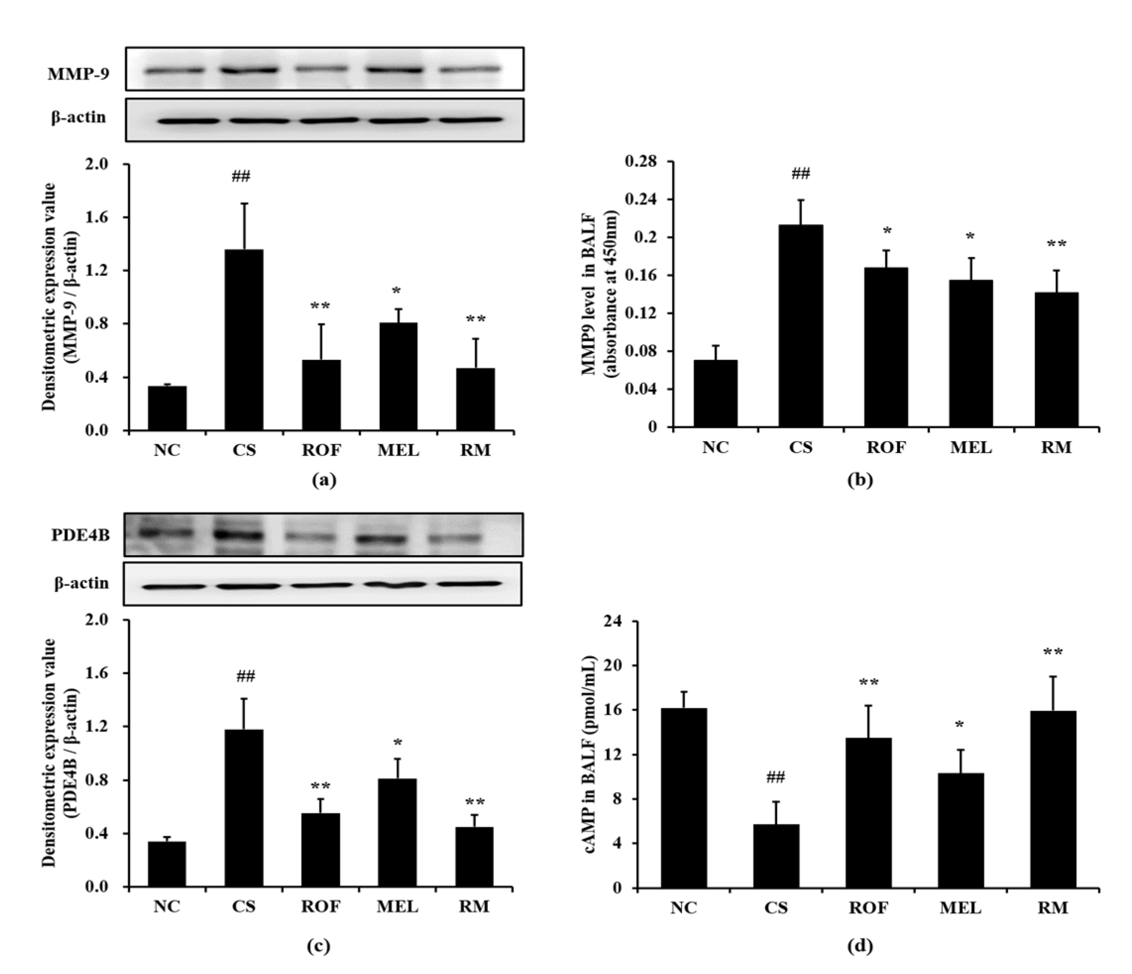 Molecules 26 06588 g004
