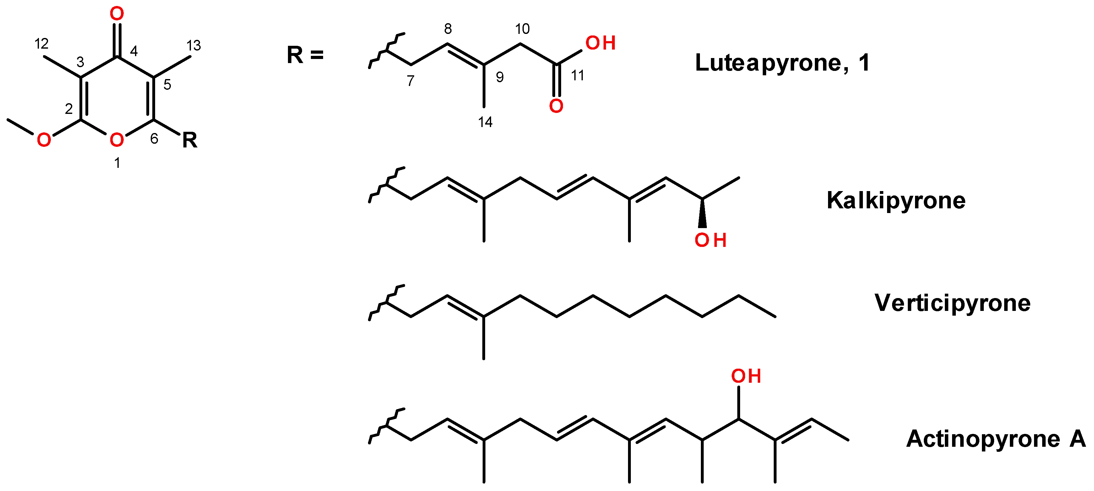 Molecules 26 06589 g001