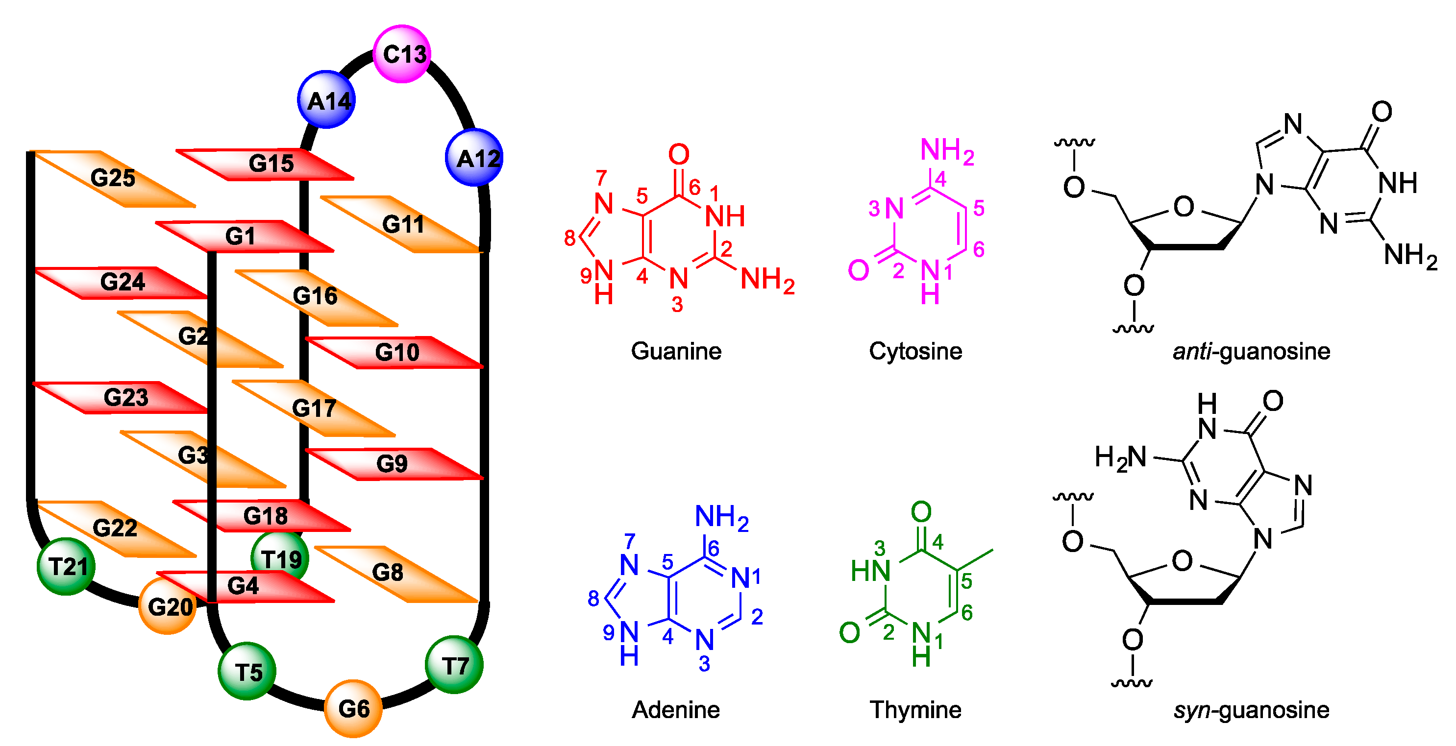 Molecules 26 06595 g003