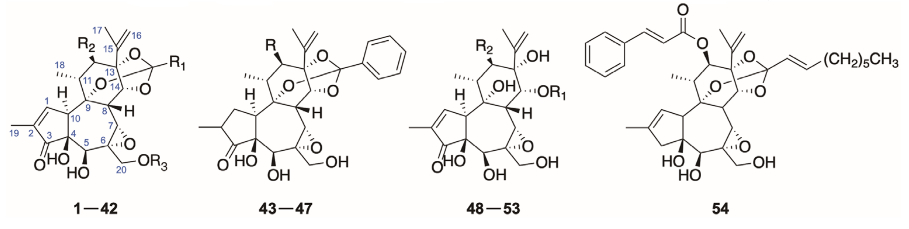Molecules 26 06598 g002