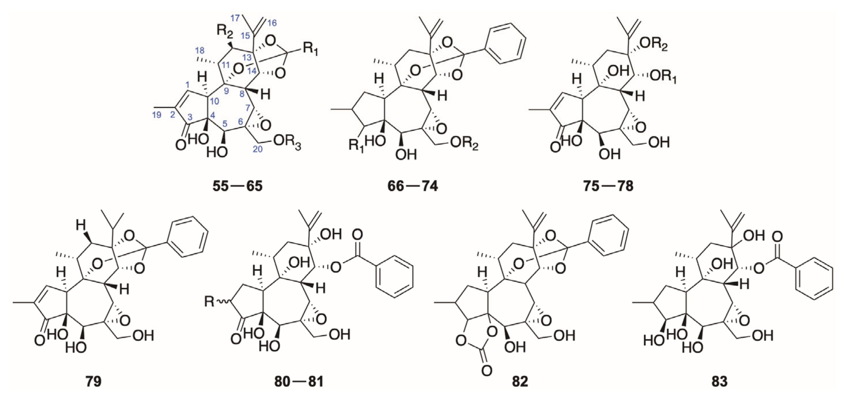 Molecules 26 06598 g003