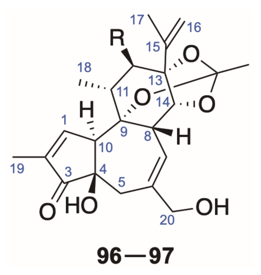 Molecules 26 06598 g005