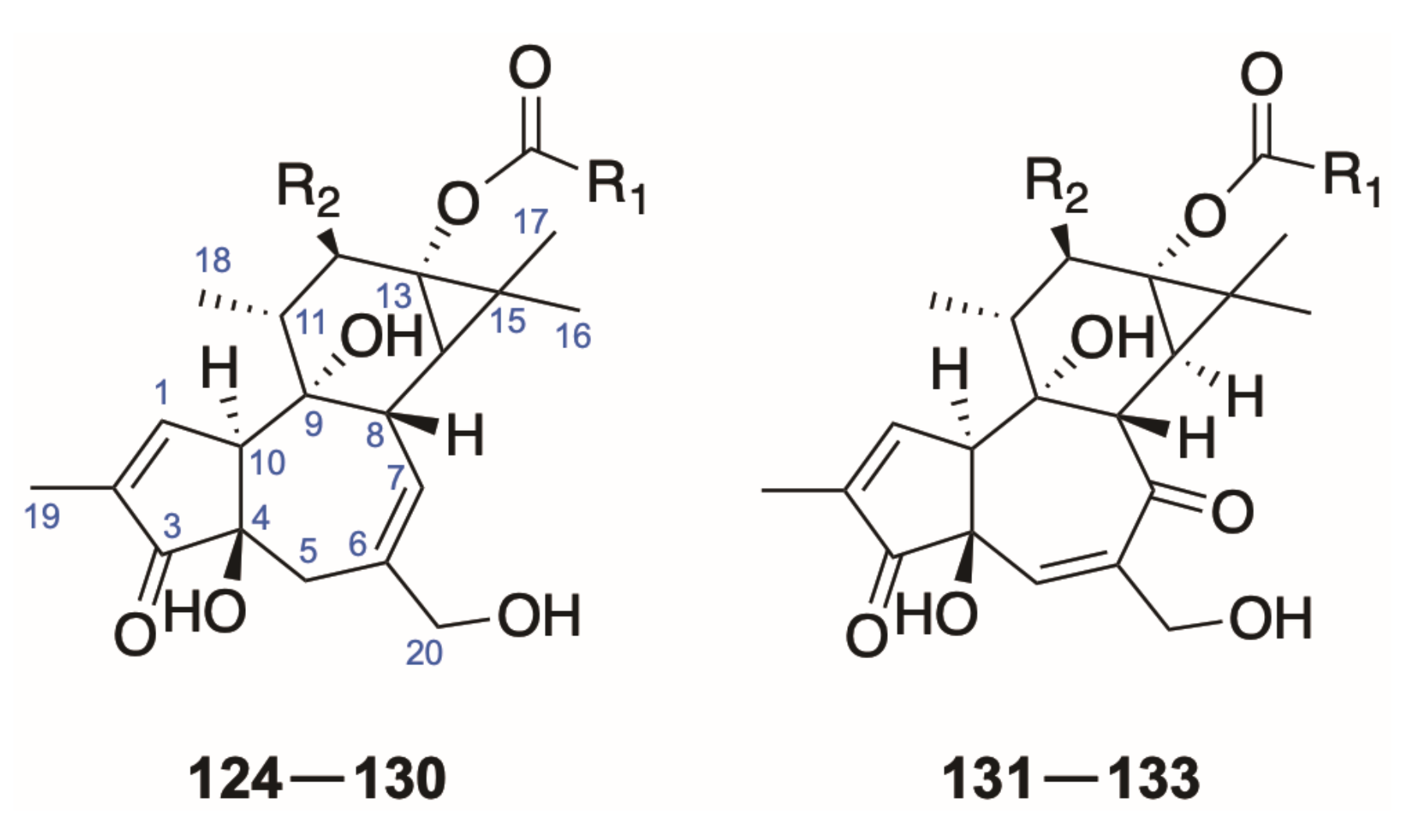 Molecules 26 06598 g008