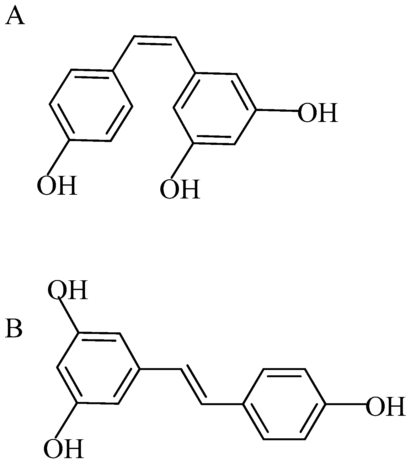 Molecules 26 06600 g001