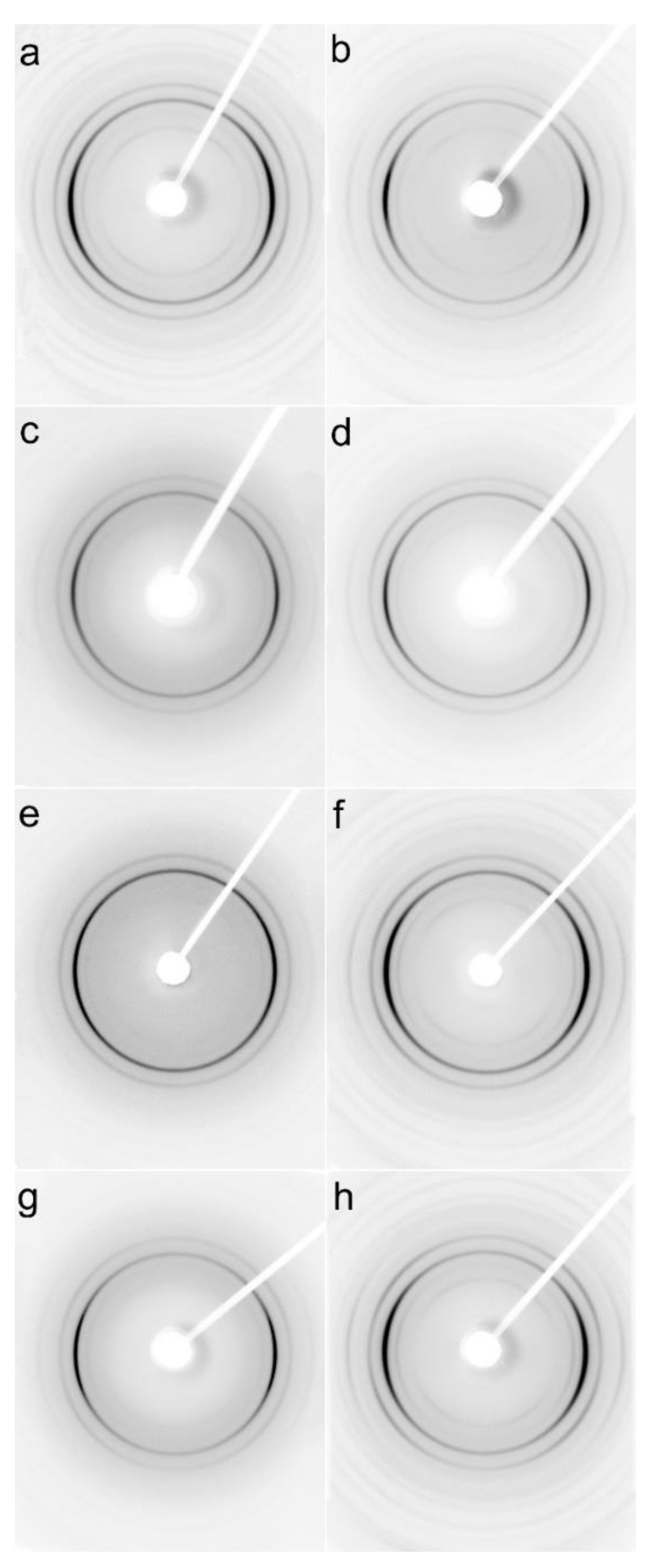Molecules 26 06601 g007