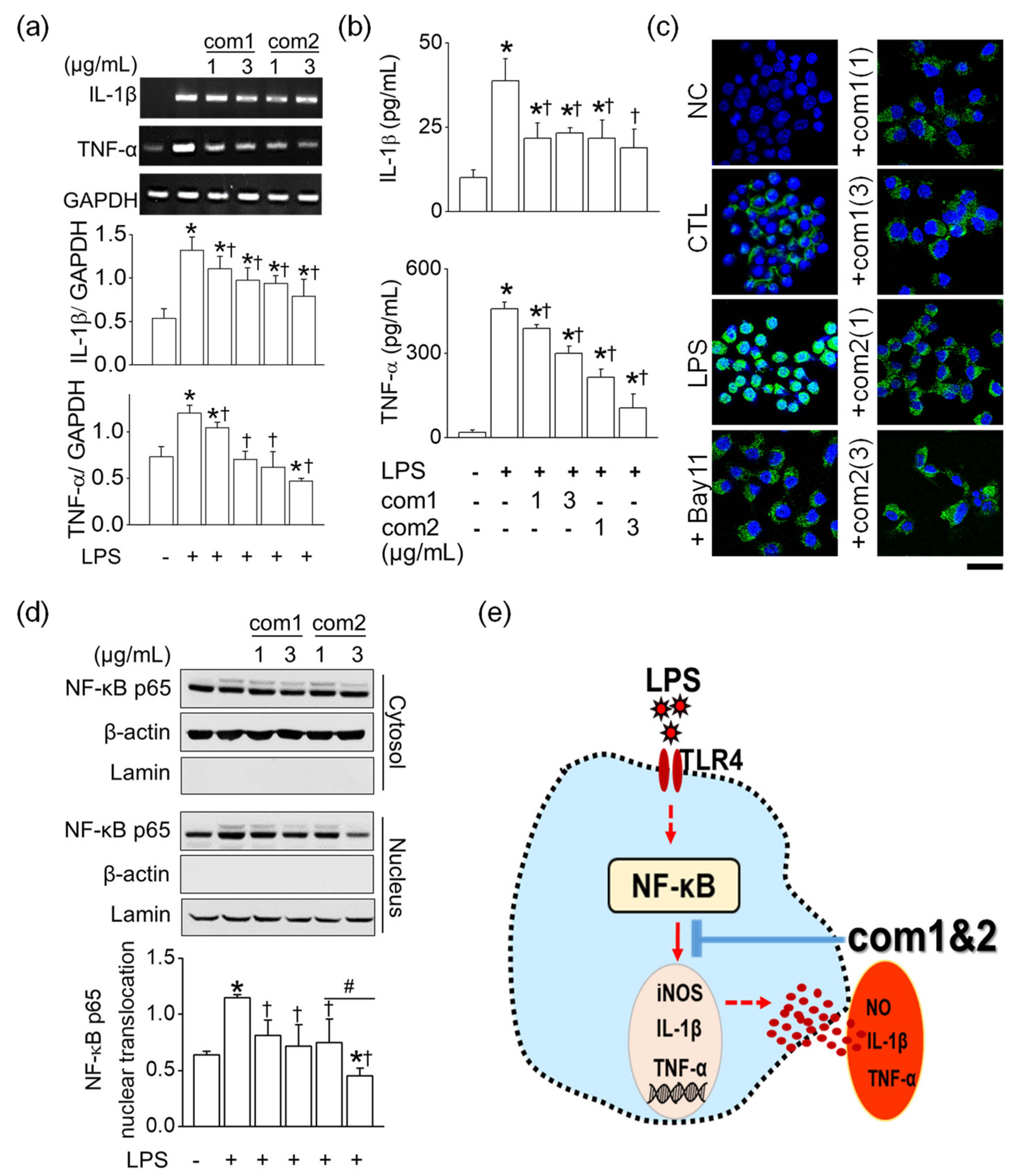 Molecules 26 06602 g006 Molecules 26 06602 g006