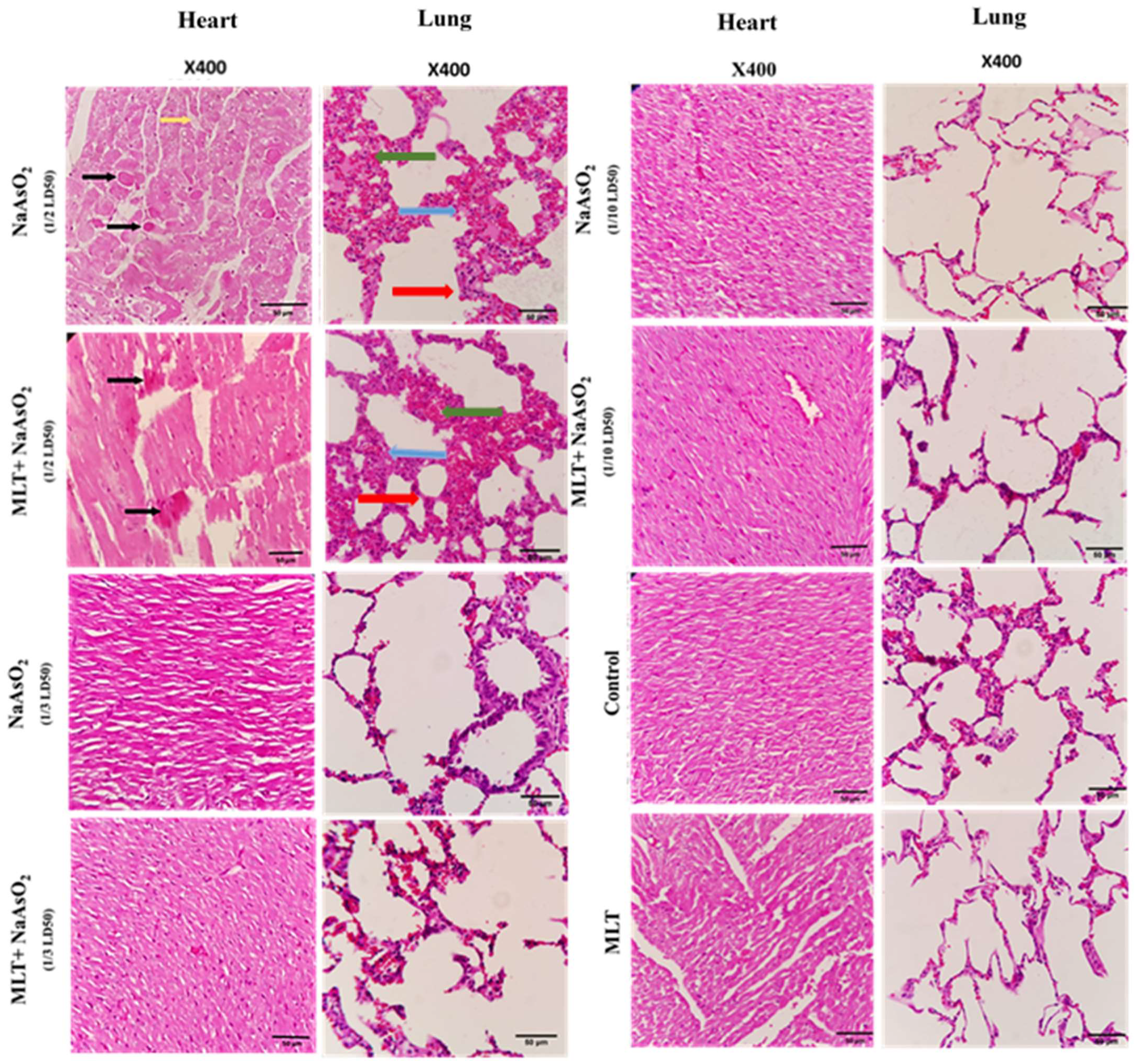 Molecules 26 06603 g005