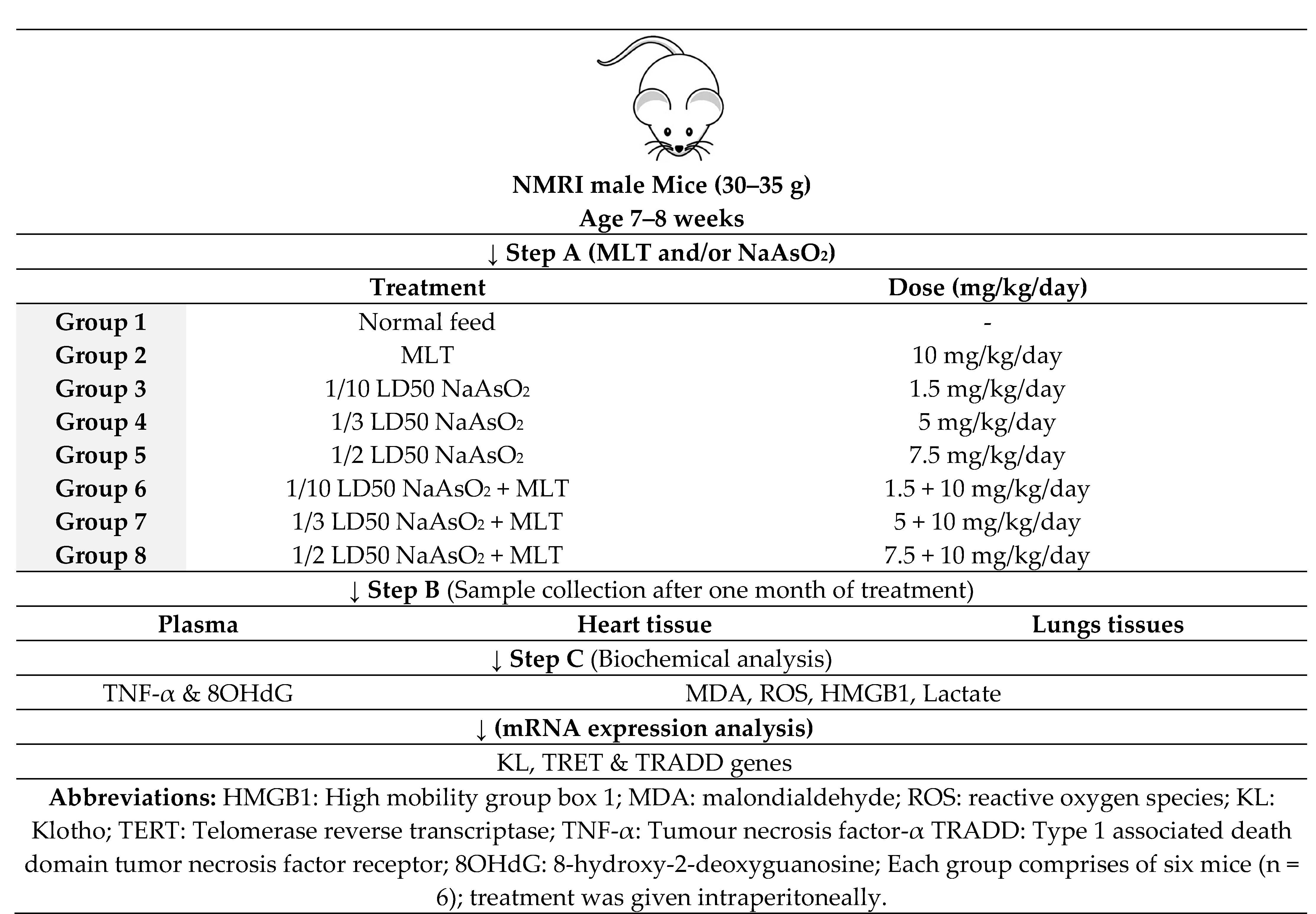 Molecules 26 06603 g006