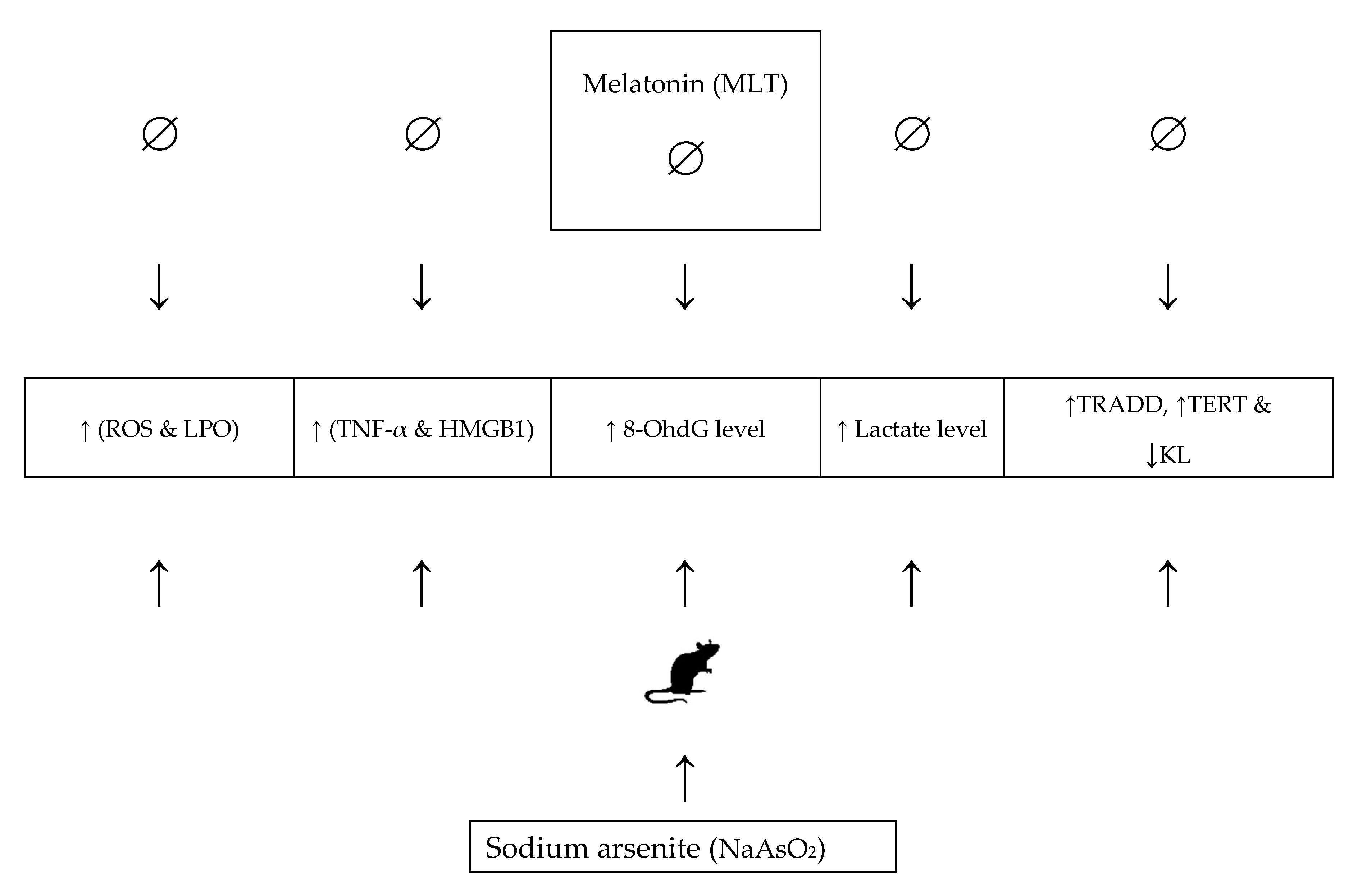 Molecules 26 06603 g007