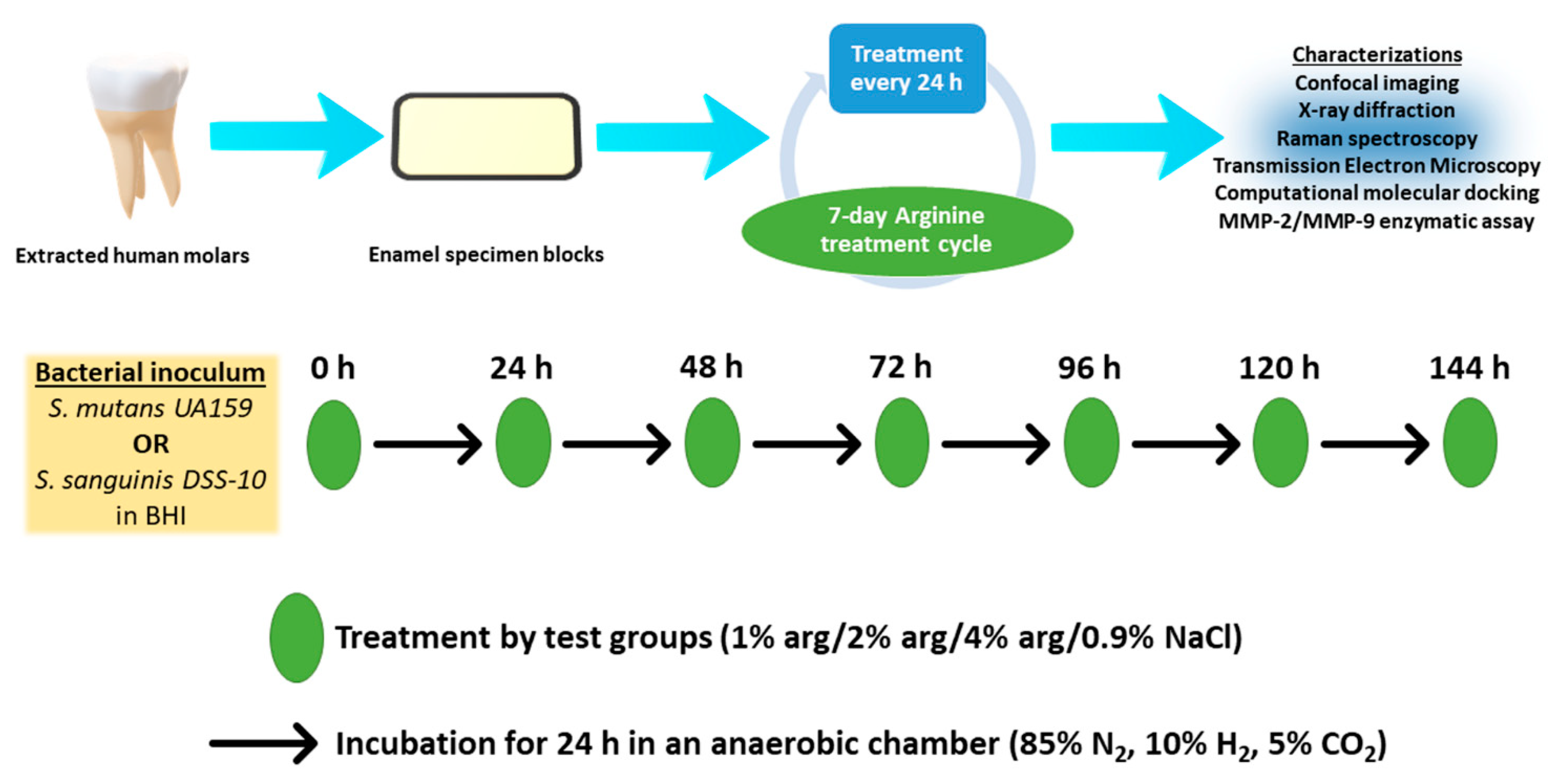 Molecules 26 06605 g005