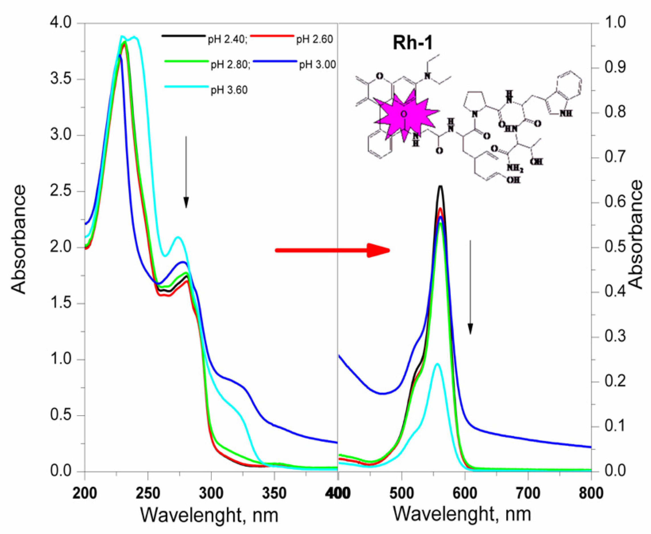 Molecules 26 06608 g005