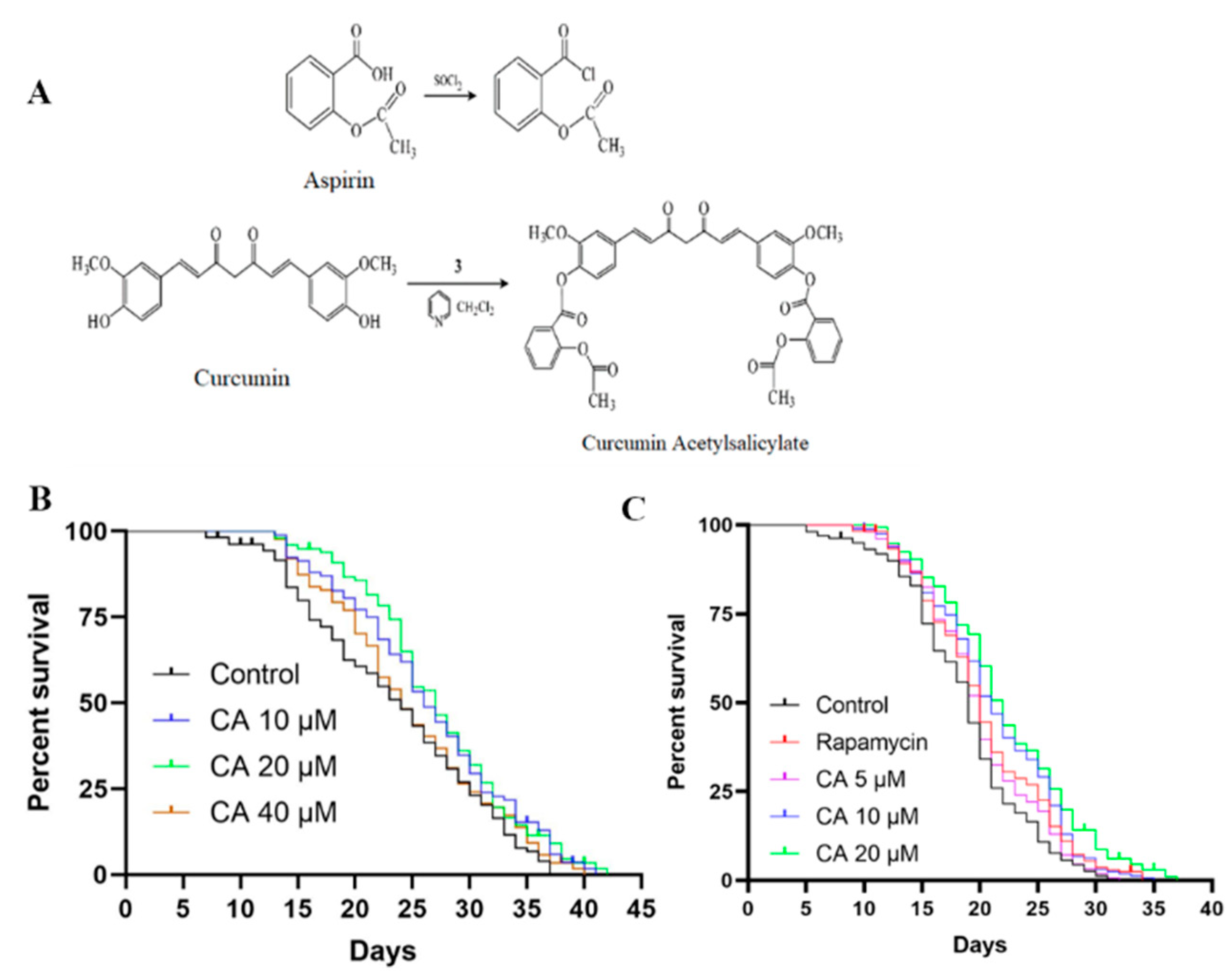 Molecules 26 06609 g001
