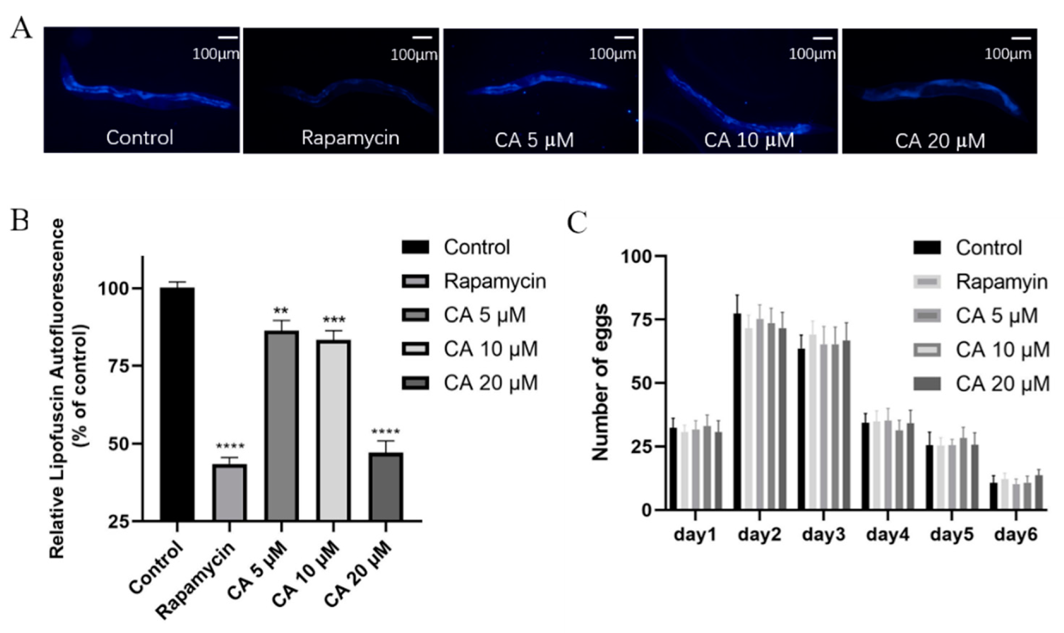 Molecules 26 06609 g002