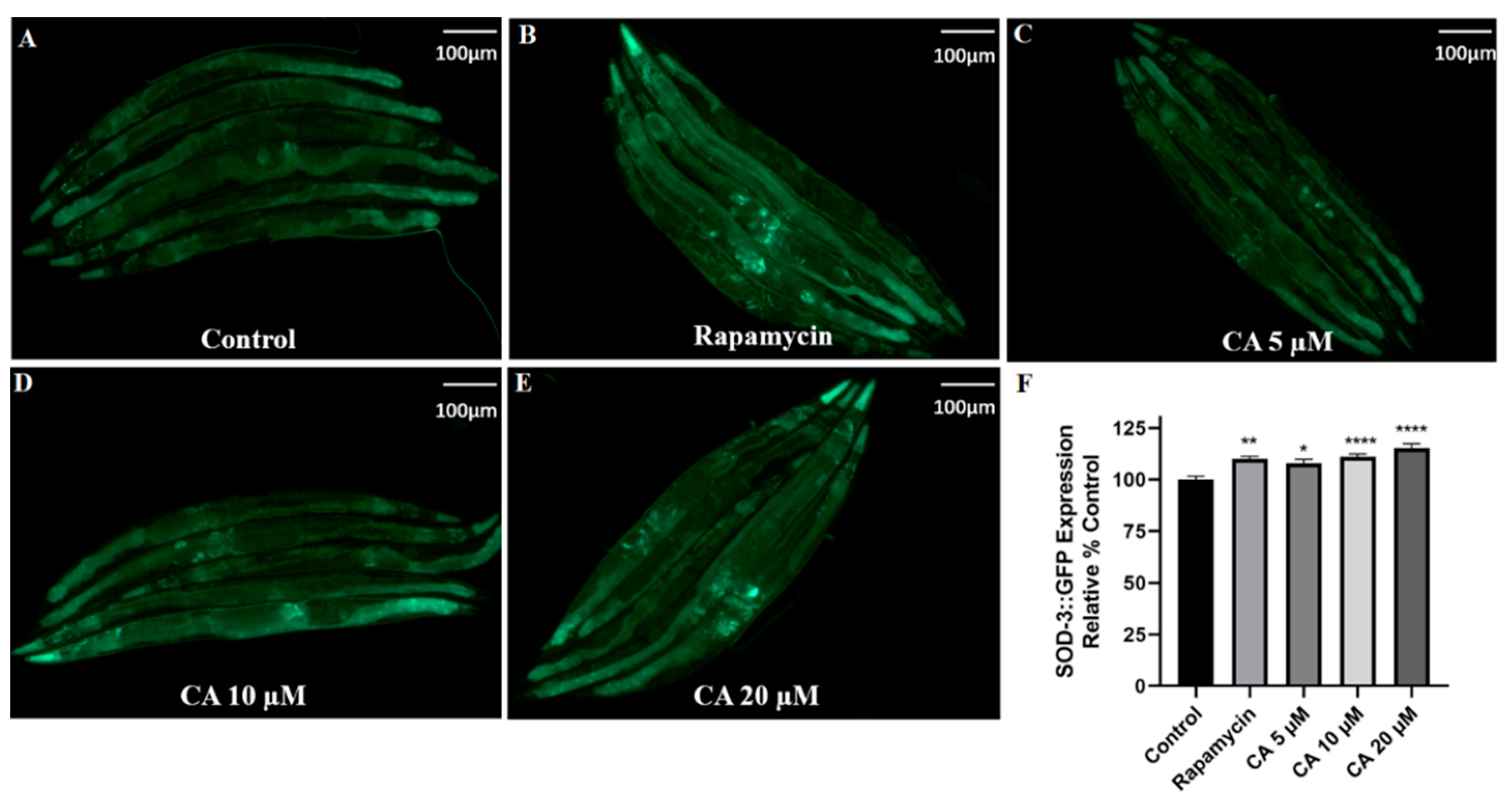 Molecules 26 06609 g005