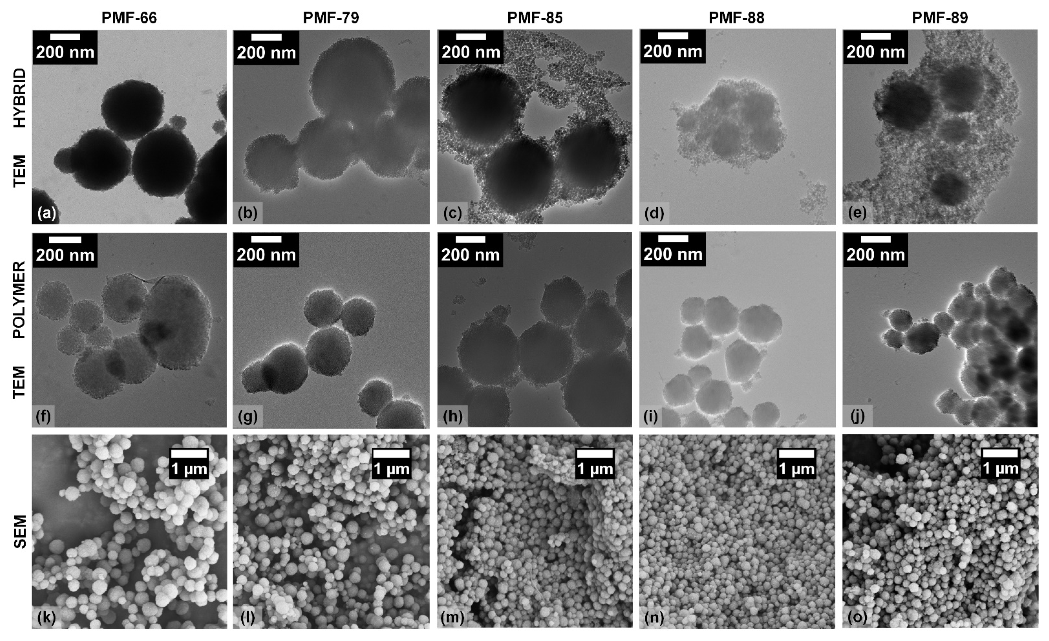 Molecules 26 06615 g003