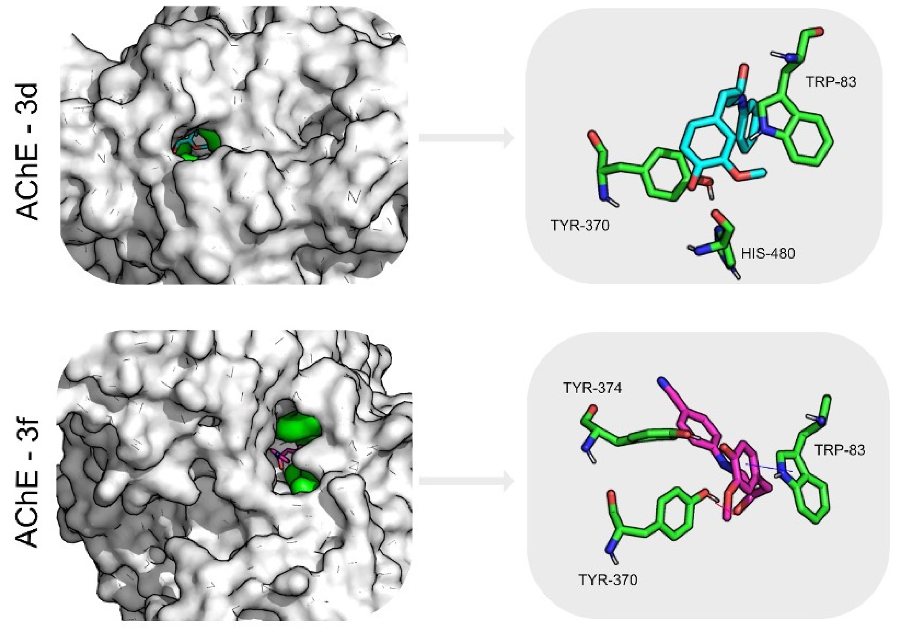 Molecules 26 06616 g004 Molecules 26 06616 g004