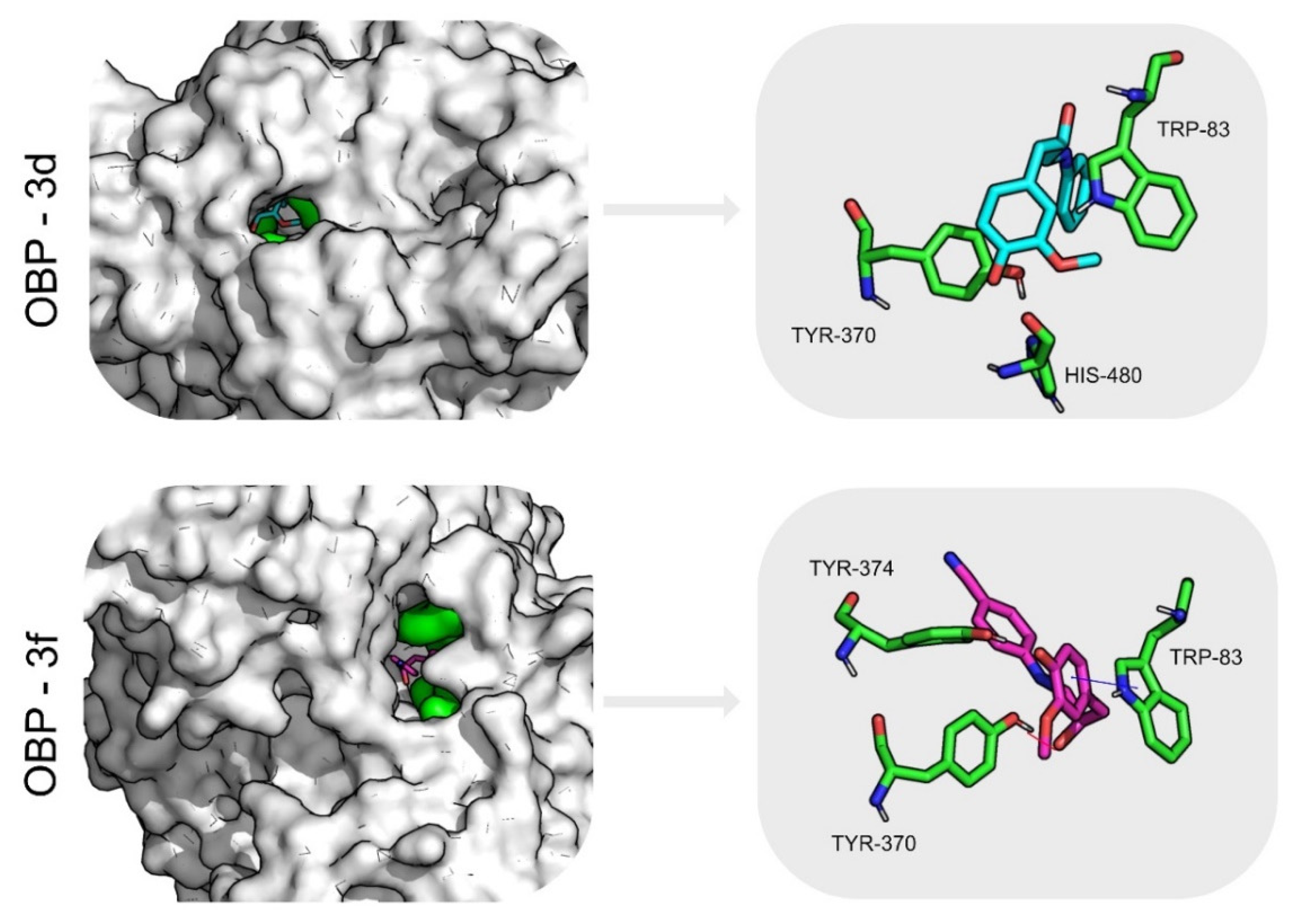Molecules 26 06616 g005 Molecules 26 06616 g005