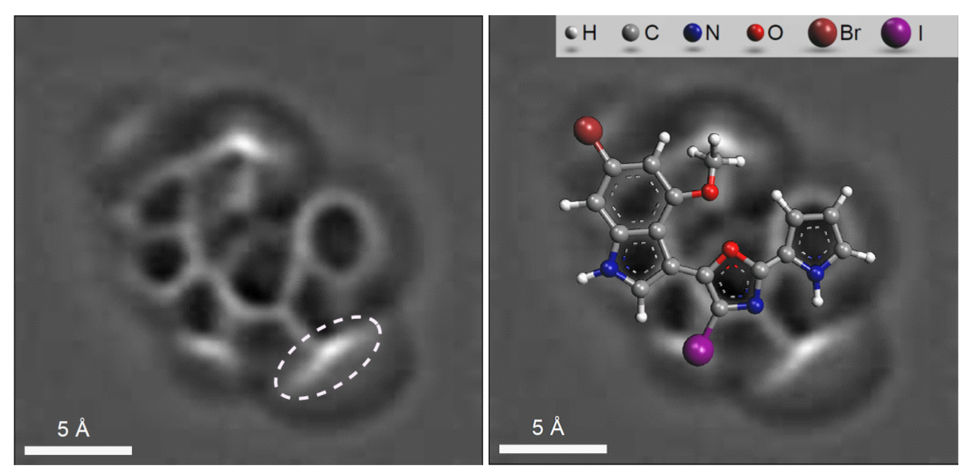 Molecules 26 06623 g020